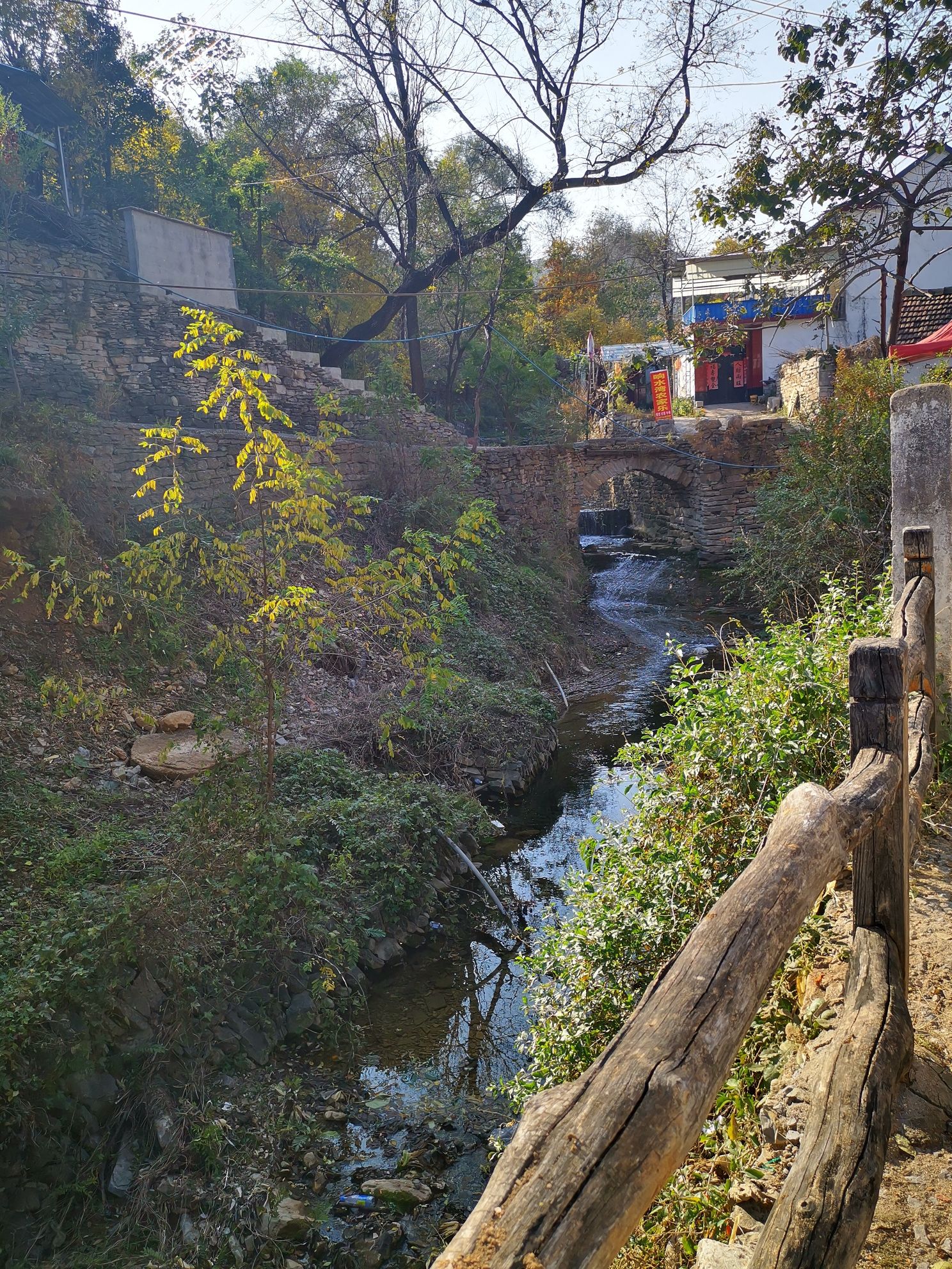 鹿鸣溪谷·柿子沟旅行图片 1