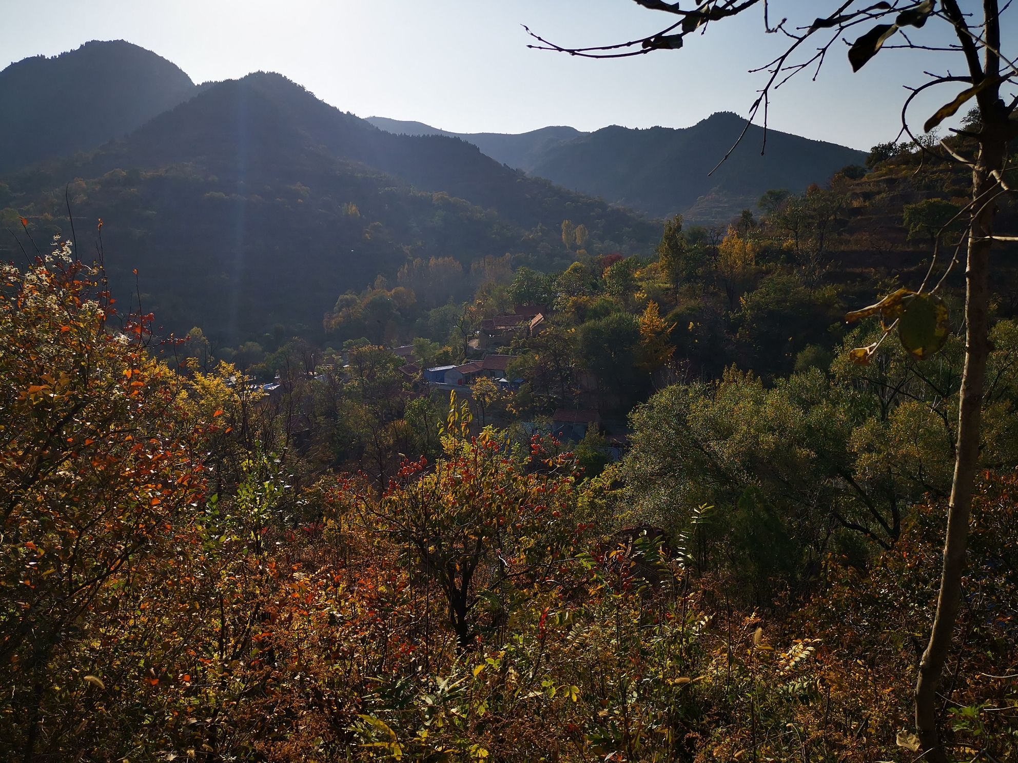 鹿鸣溪谷·柿子沟旅行图片 3