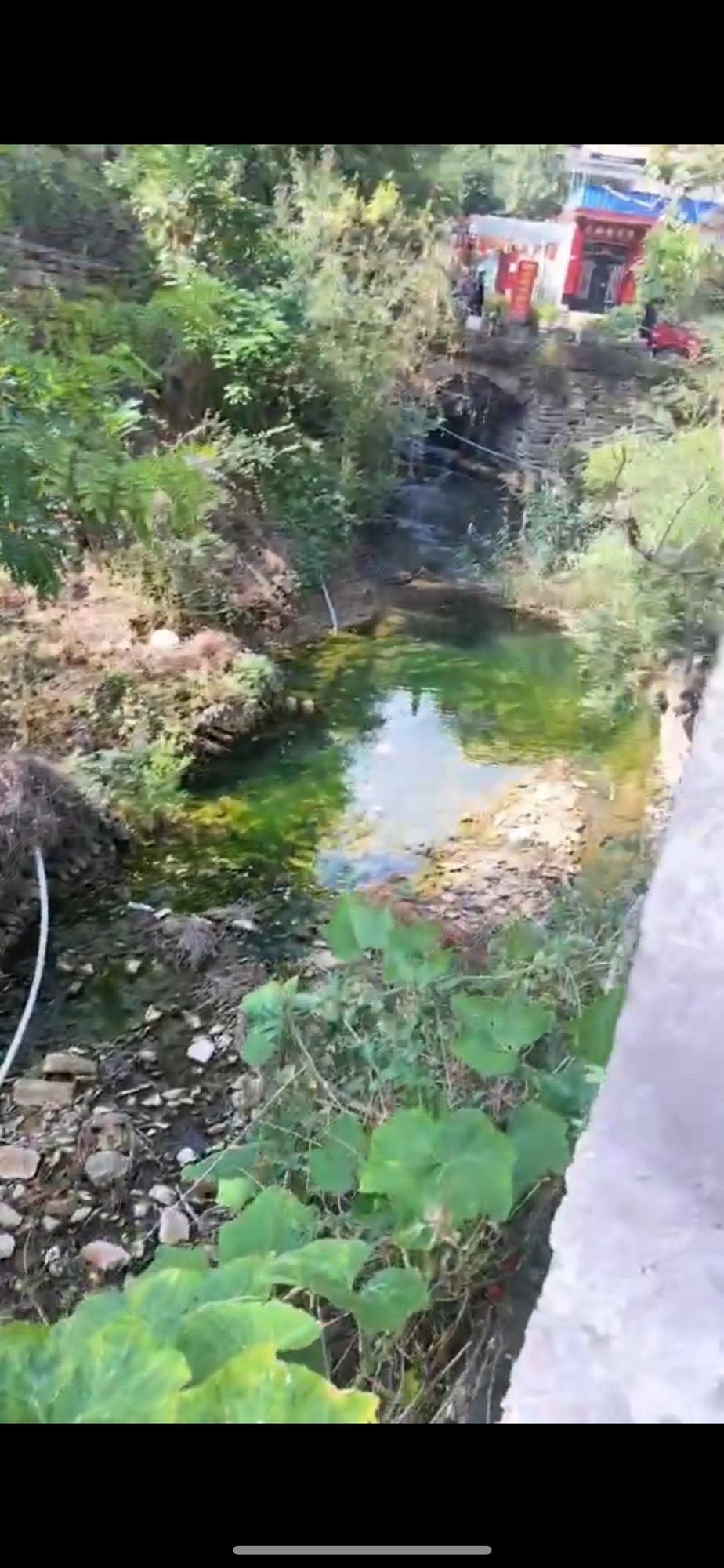 鹿鸣溪谷·柿子沟旅行图片 1