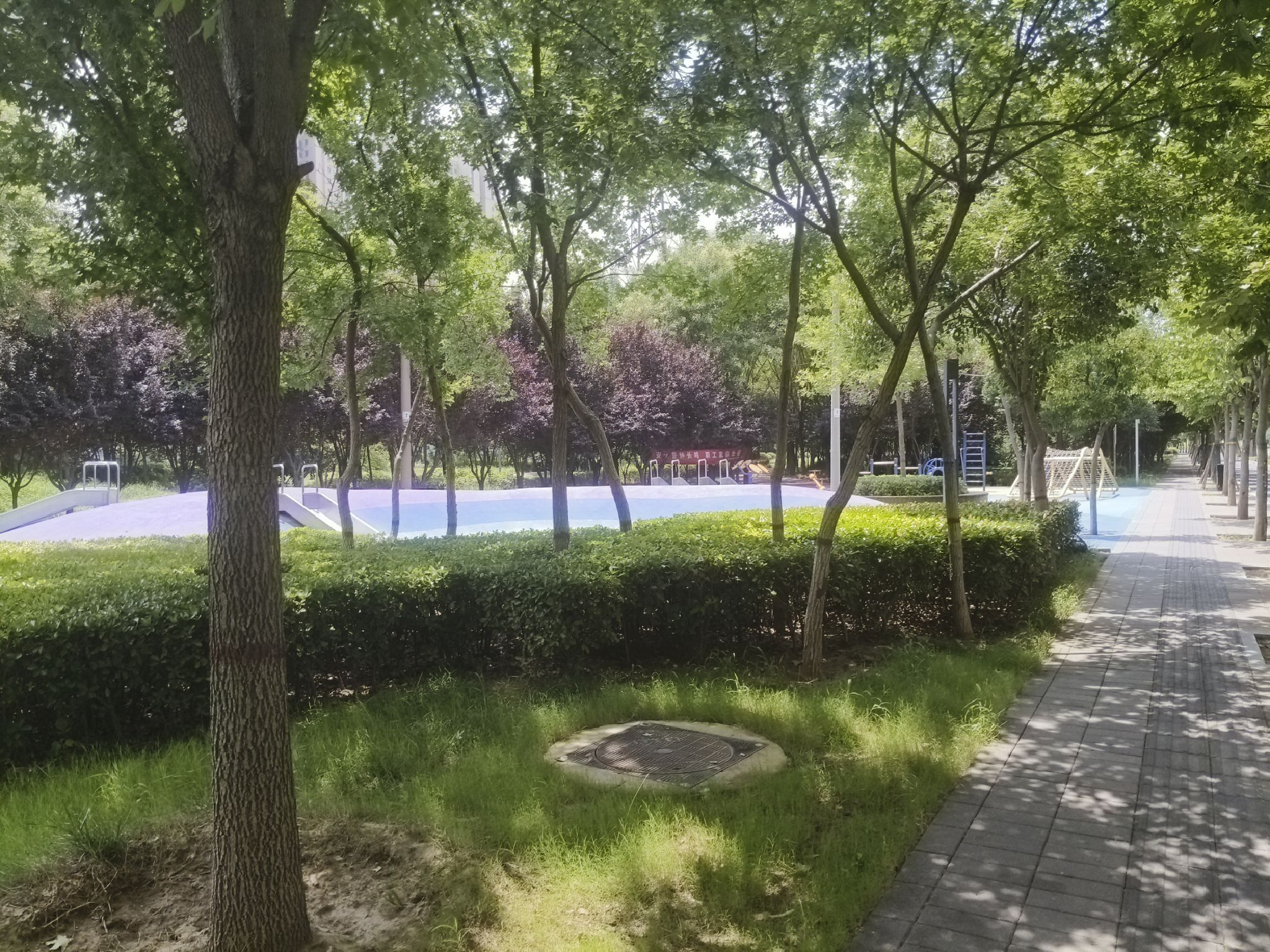 梧桐公园旅行图片 1