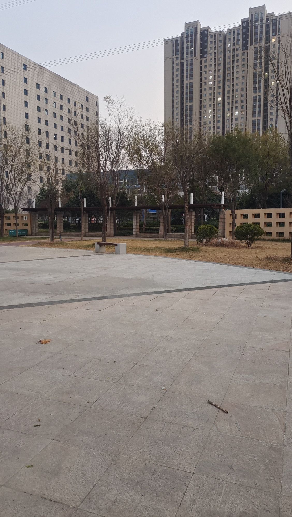 梧桐公园旅行图片 1