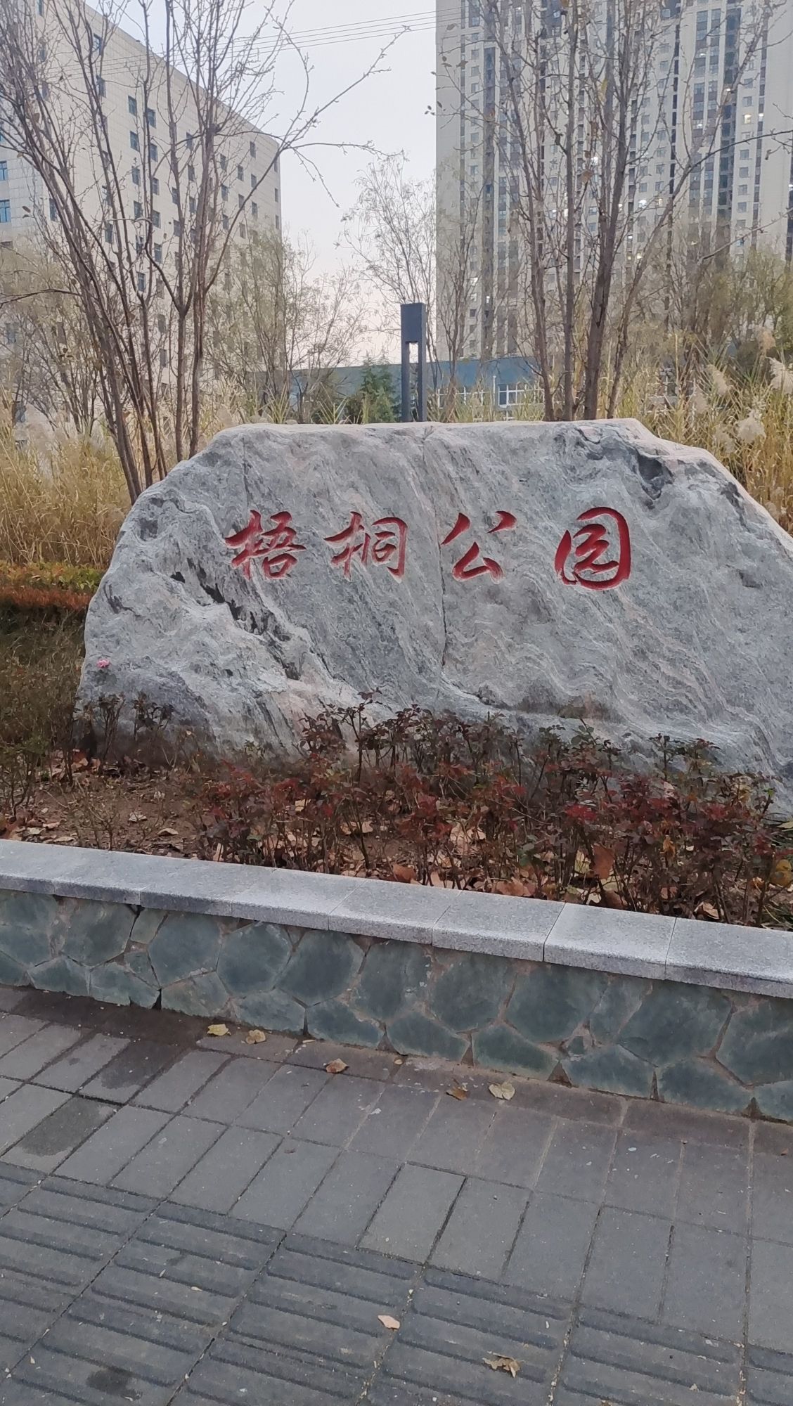 梧桐公园旅行图片 3