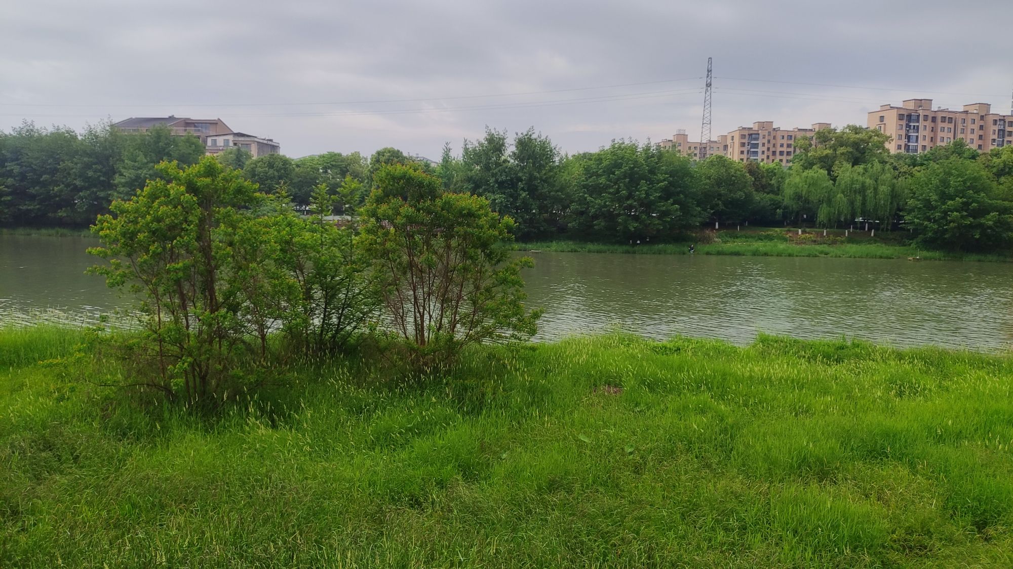 栖霞公园旅行图片 3