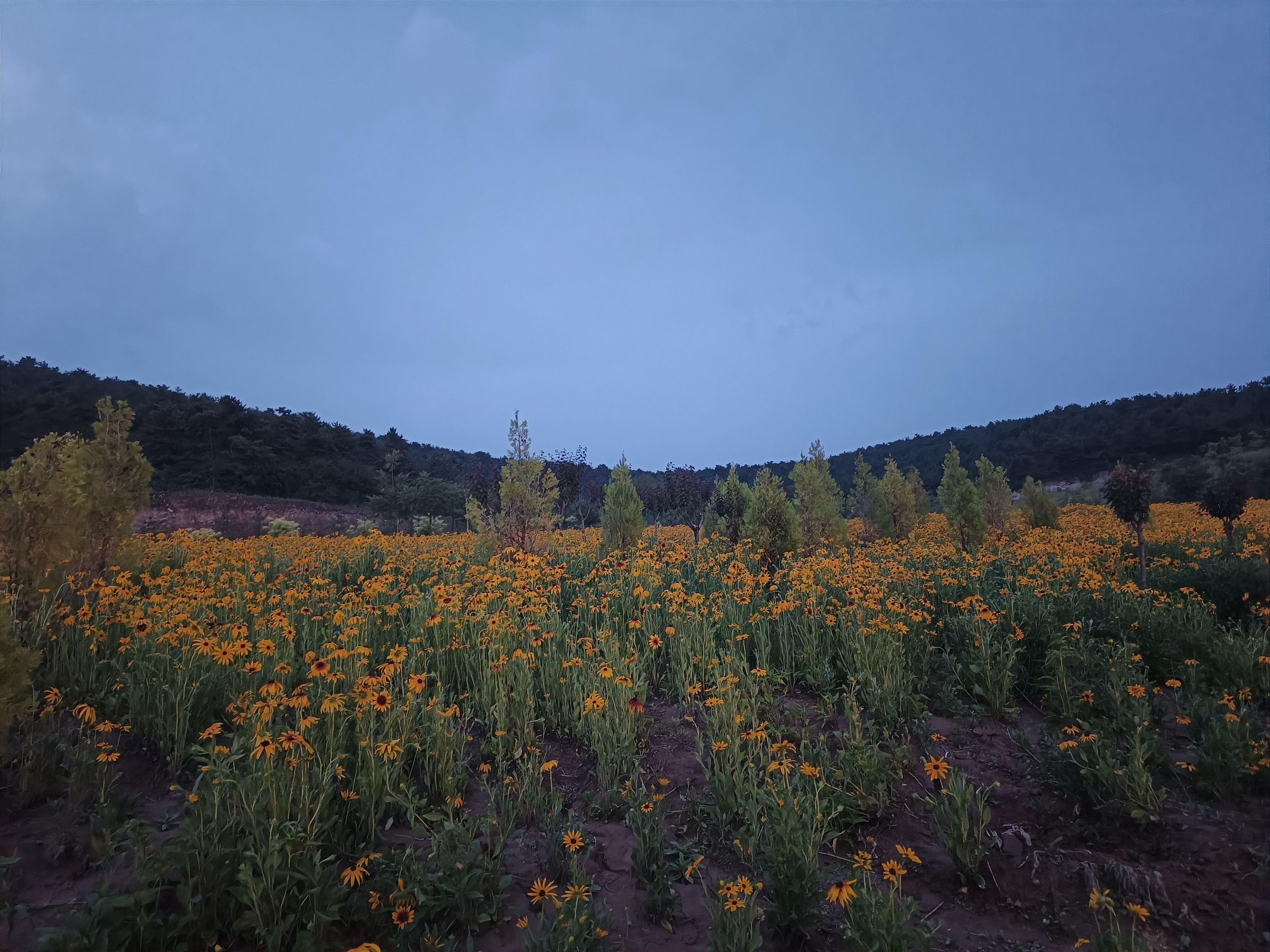 陵川菊巘山公园旅行图片 2