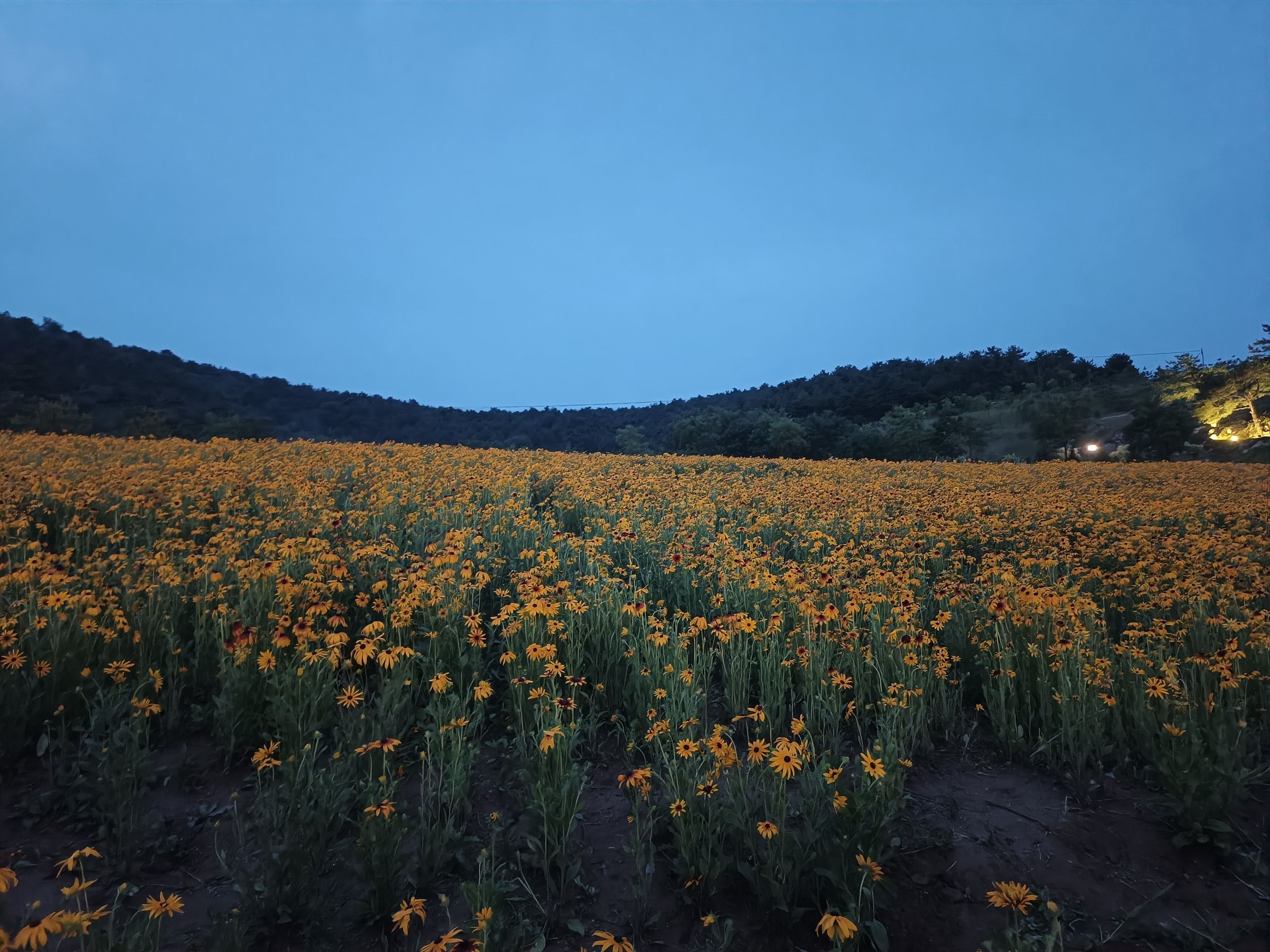 陵川菊巘山公园旅行图片 1