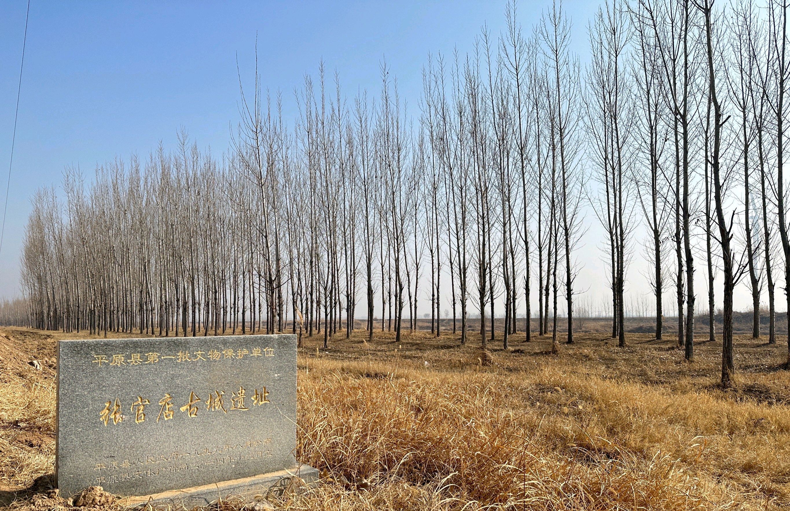 张官店古城遗址旅行图片 1