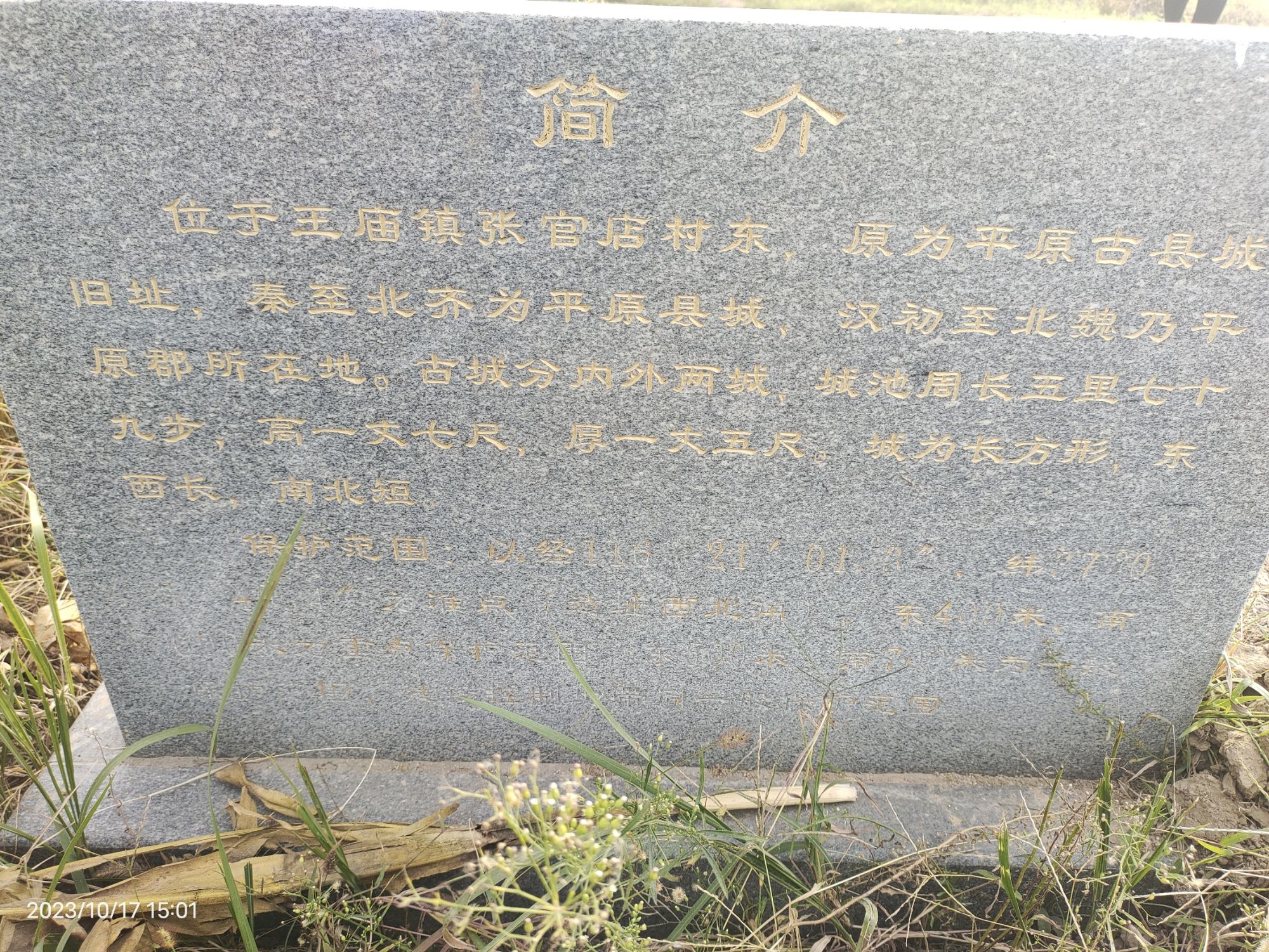 张官店古城遗址旅行图片 2