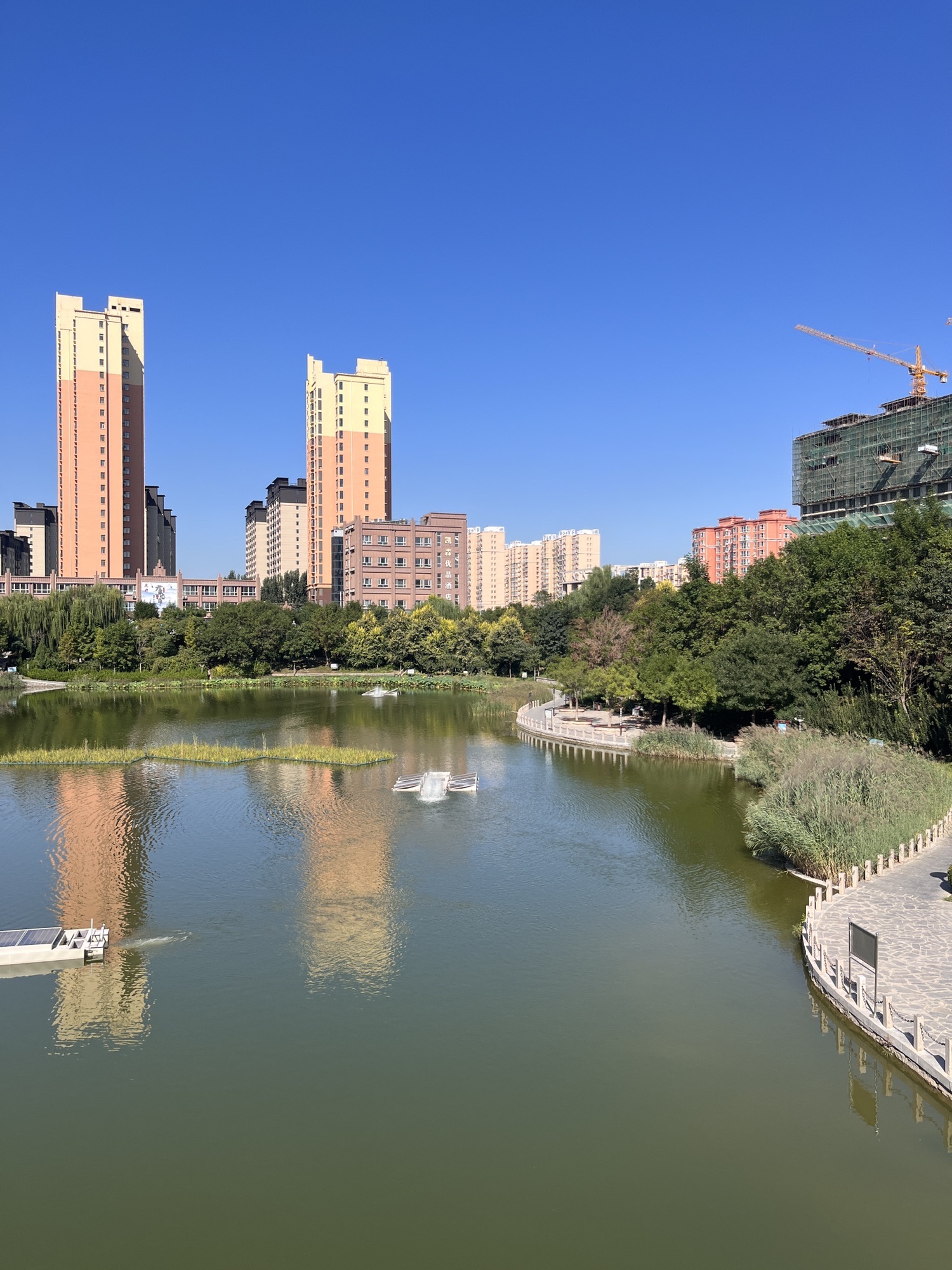 永盛公园旅行图片 3