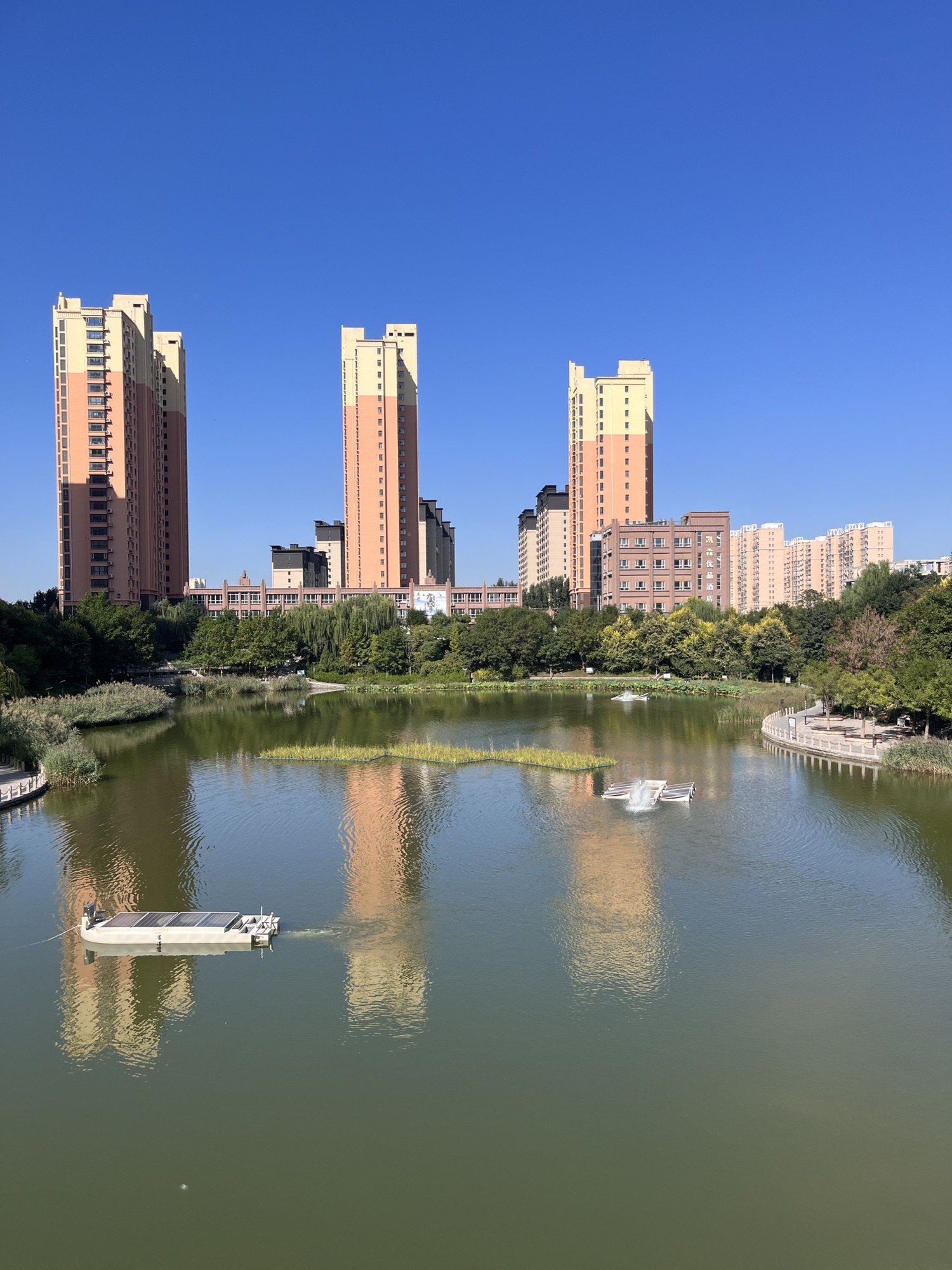 永盛公园旅行图片 1