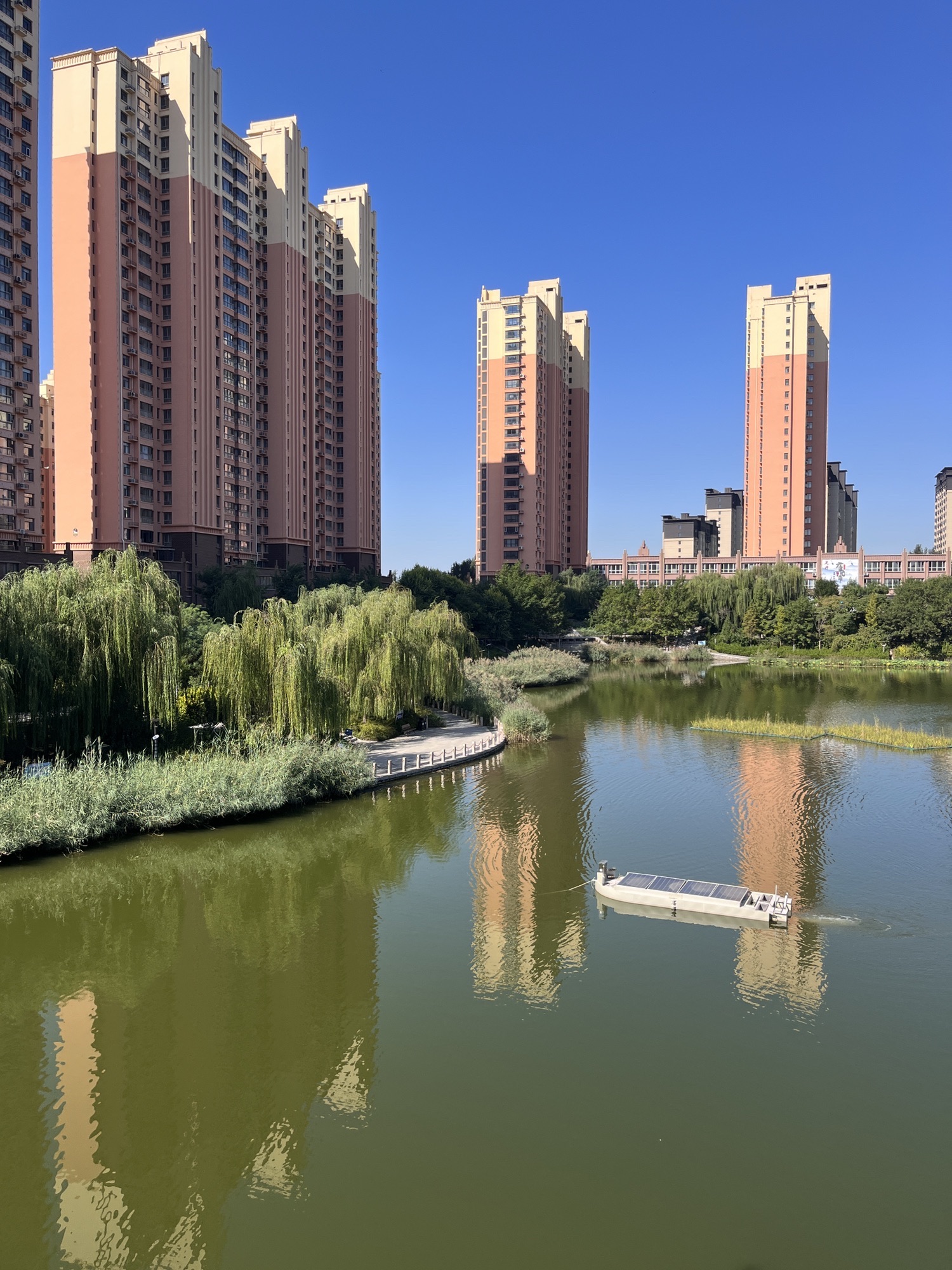 永盛公园旅行图片 2