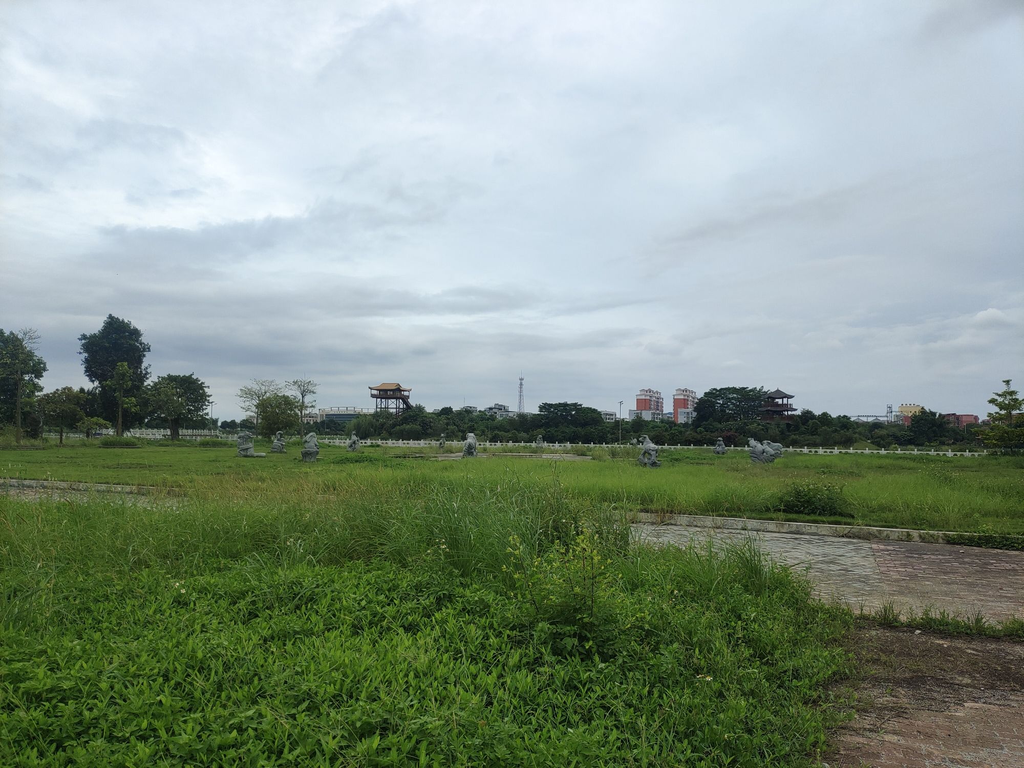 广西金色阳光千亩荷花湿地公园旅行图片 2