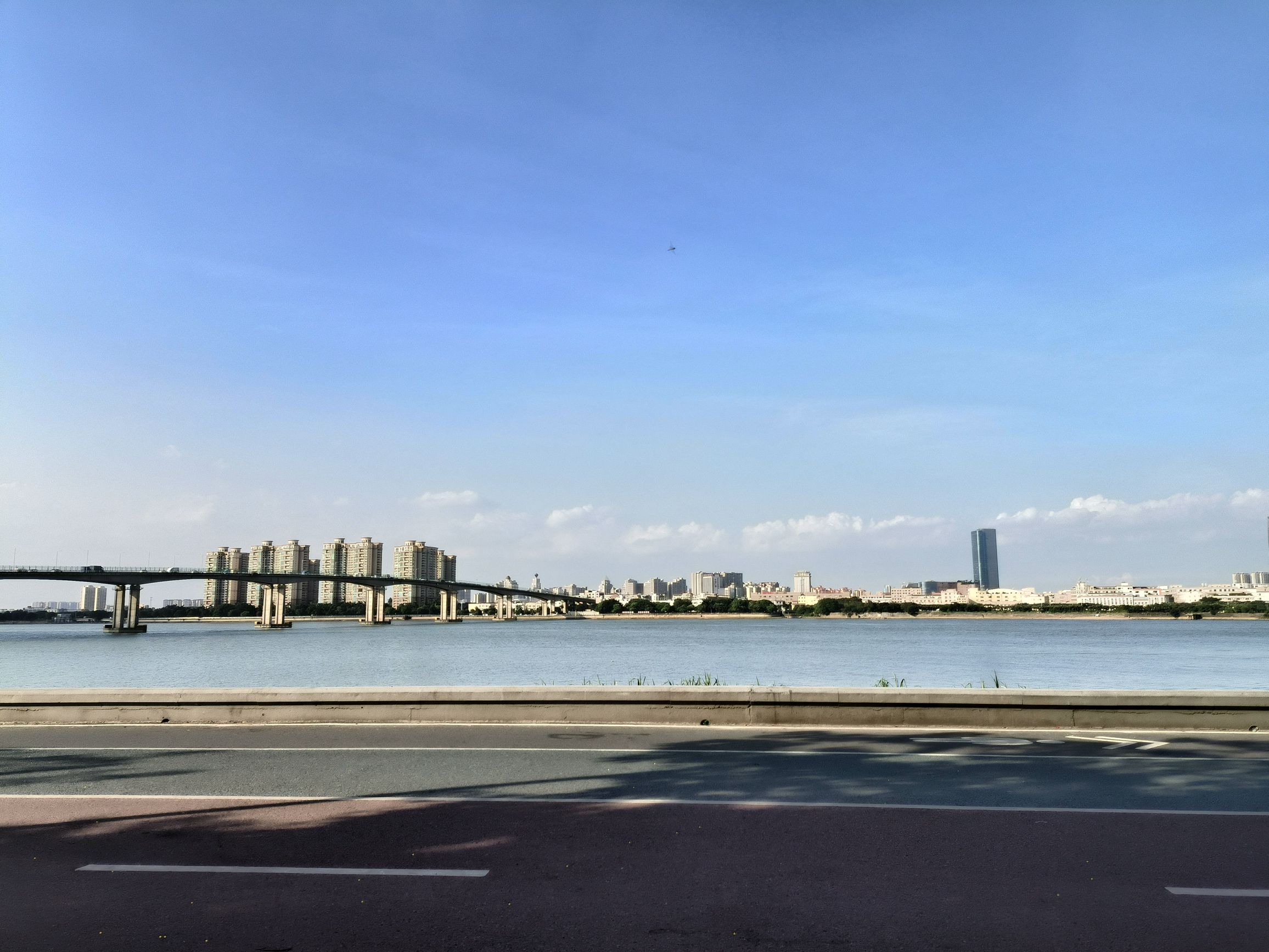 城央绿廊外滩湿地公园旅行图片 2