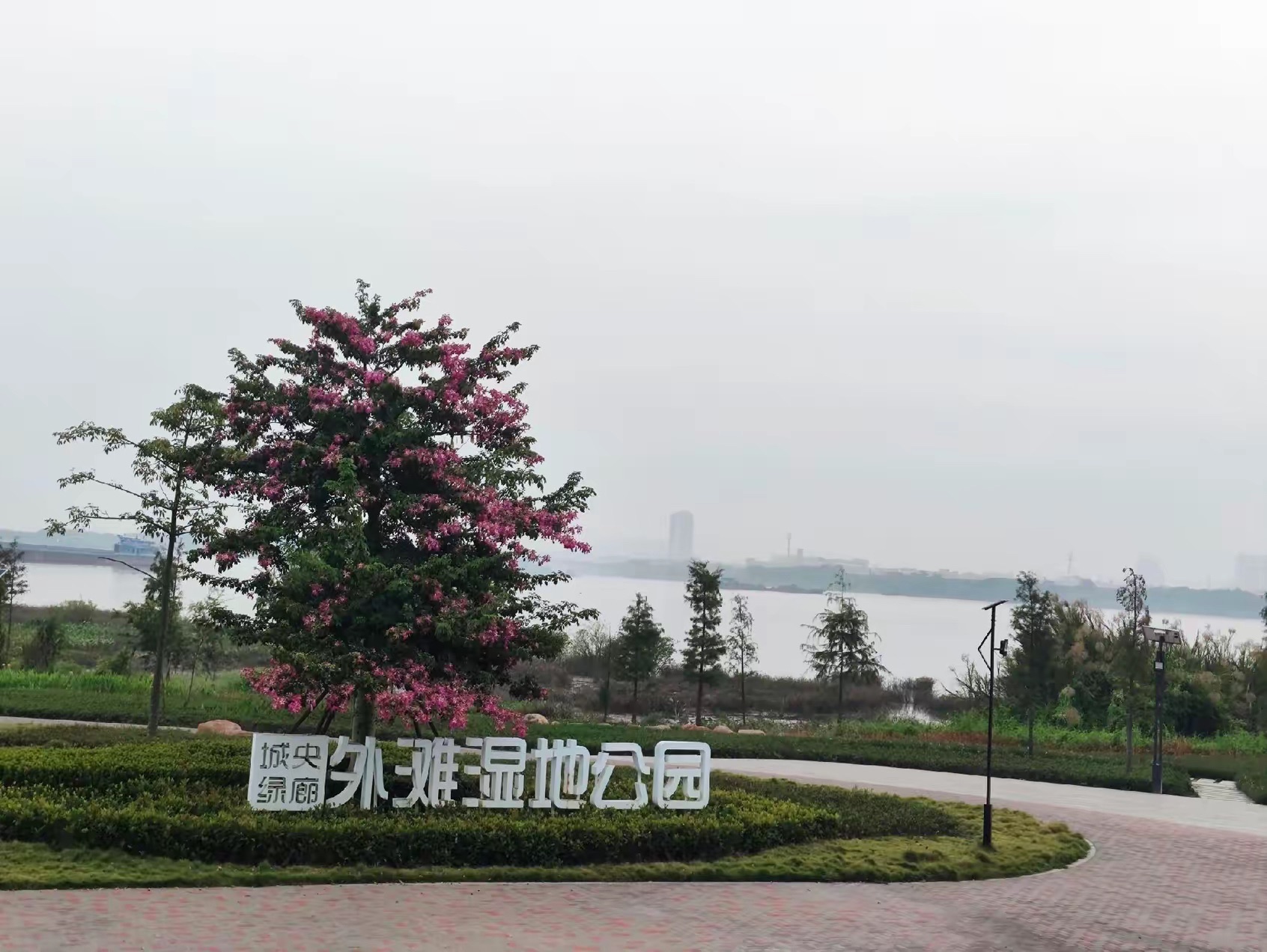 城央绿廊外滩湿地公园旅行图片 1