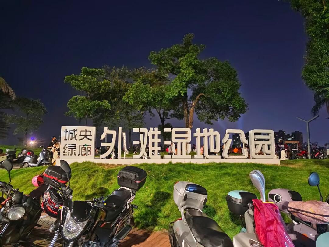 城央绿廊外滩湿地公园旅行图片 3