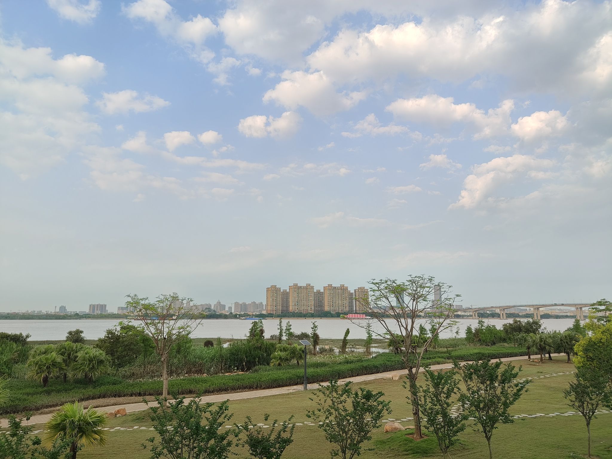 城央绿廊外滩湿地公园旅行图片 3