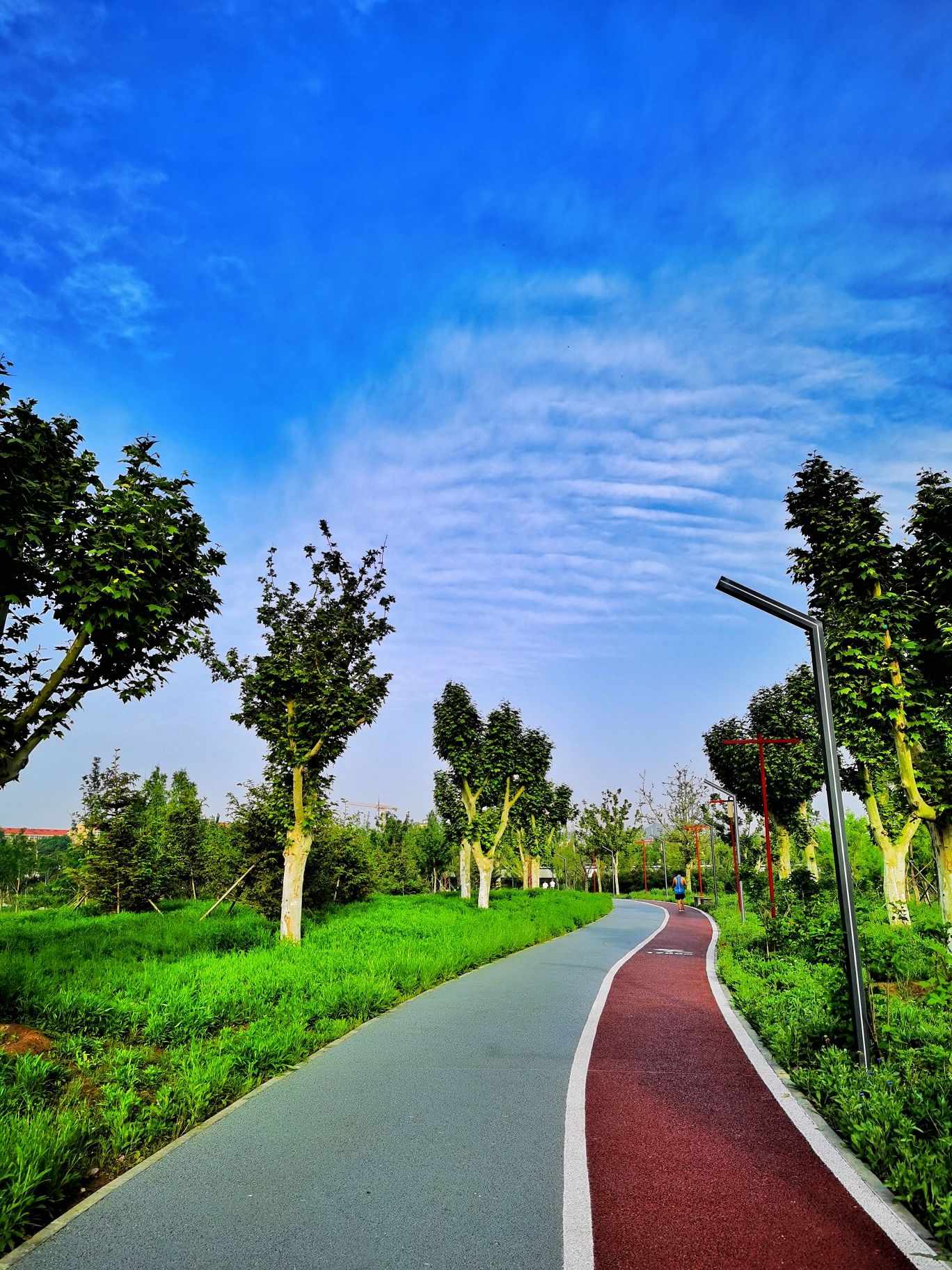 怀柔城市森林公园旅行图片 1
