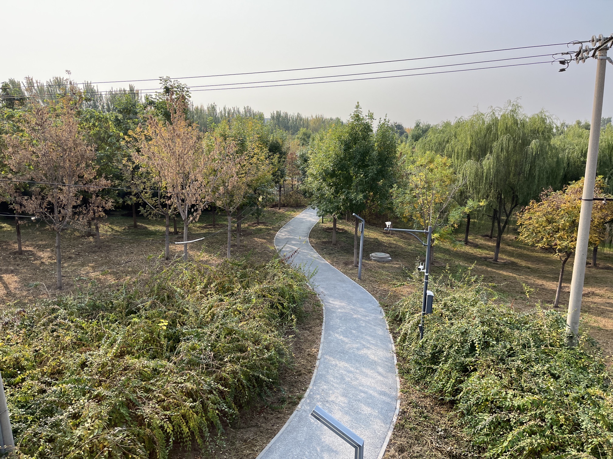 怀柔城市森林公园旅行图片 2