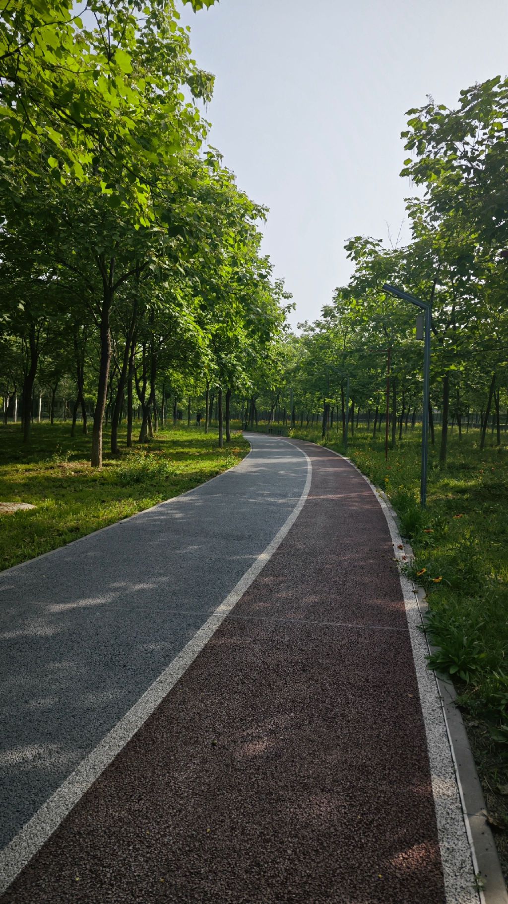怀柔城市森林公园旅行图片 1