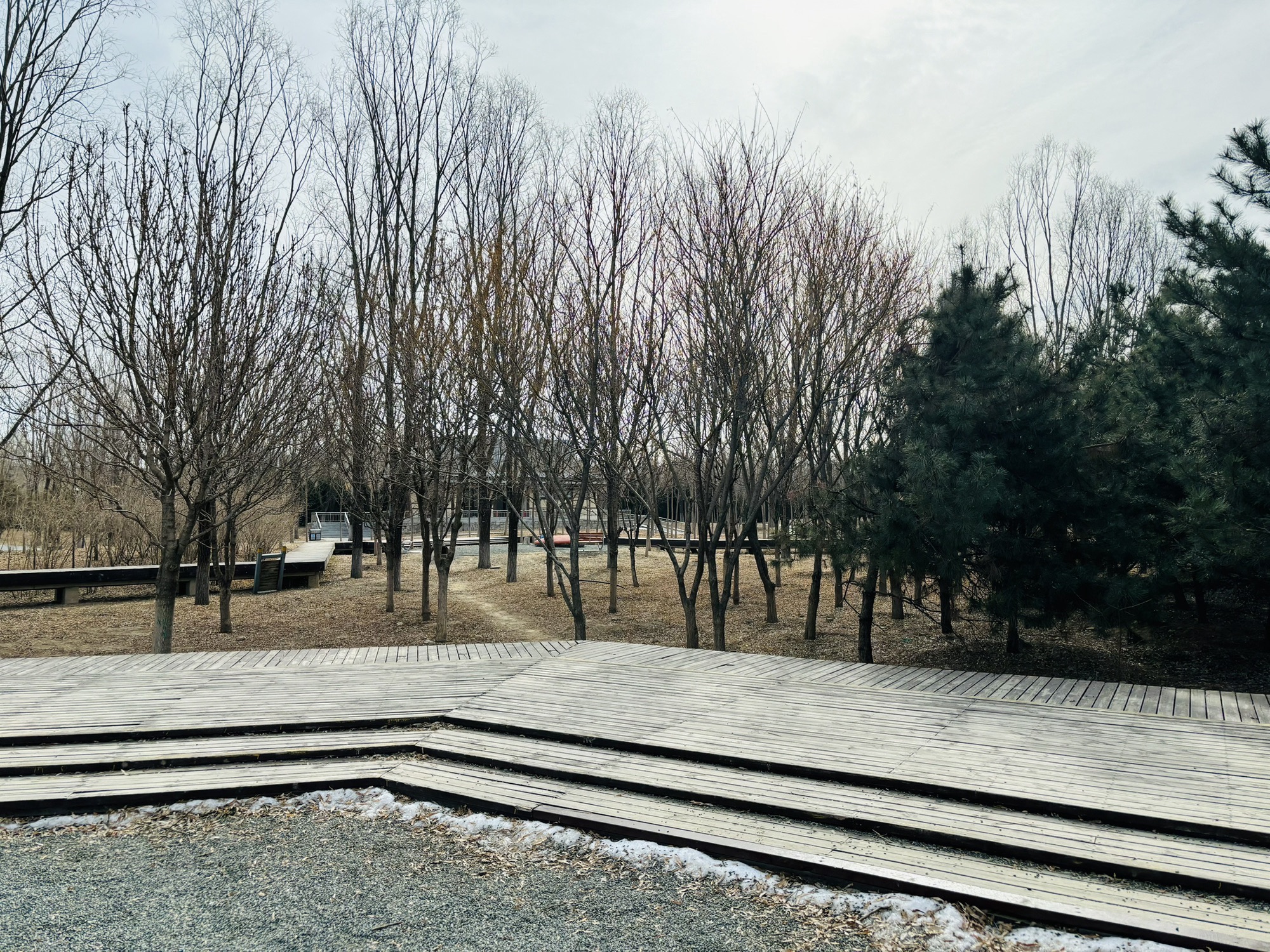 怀柔城市森林公园旅行图片 2