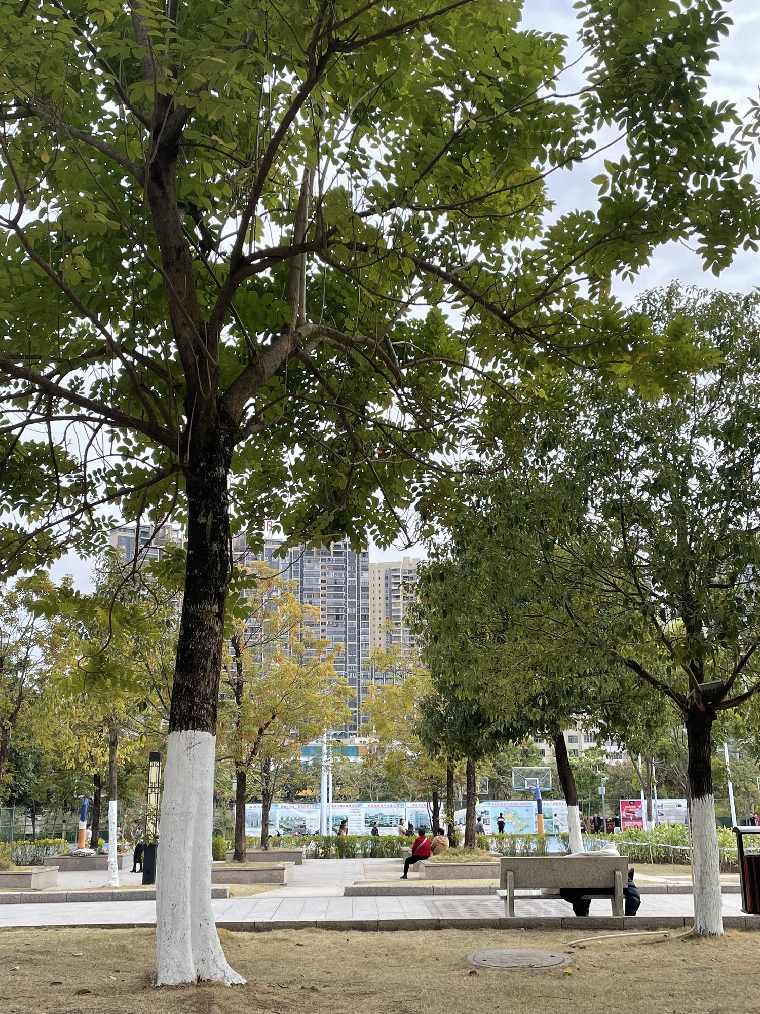 罗定江滨公园旅行图片 1