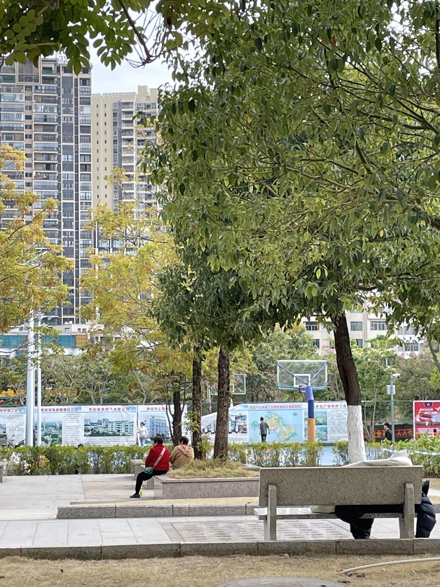 罗定江滨公园旅行图片 3