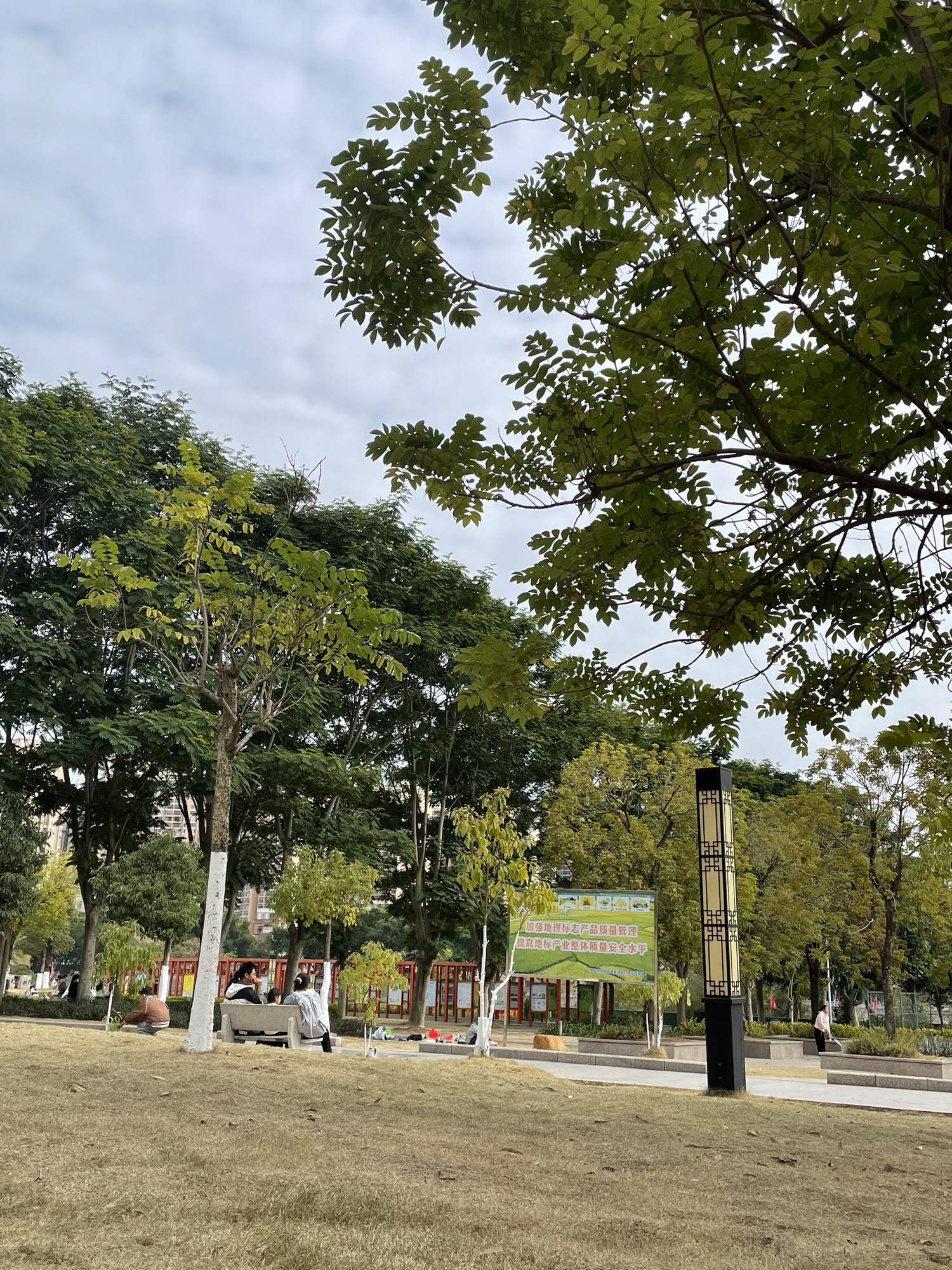 罗定江滨公园旅行图片 2