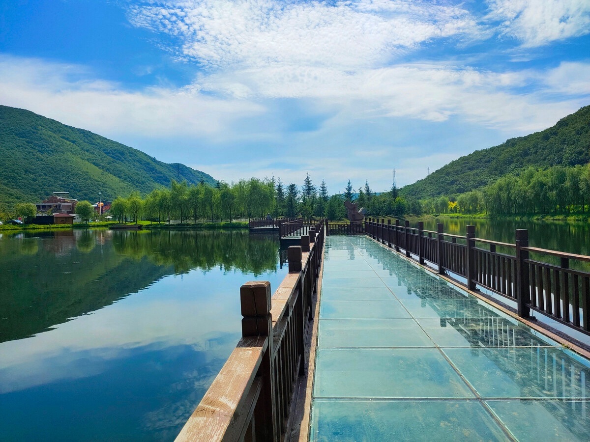 青龙渔业景区旅行图片 3