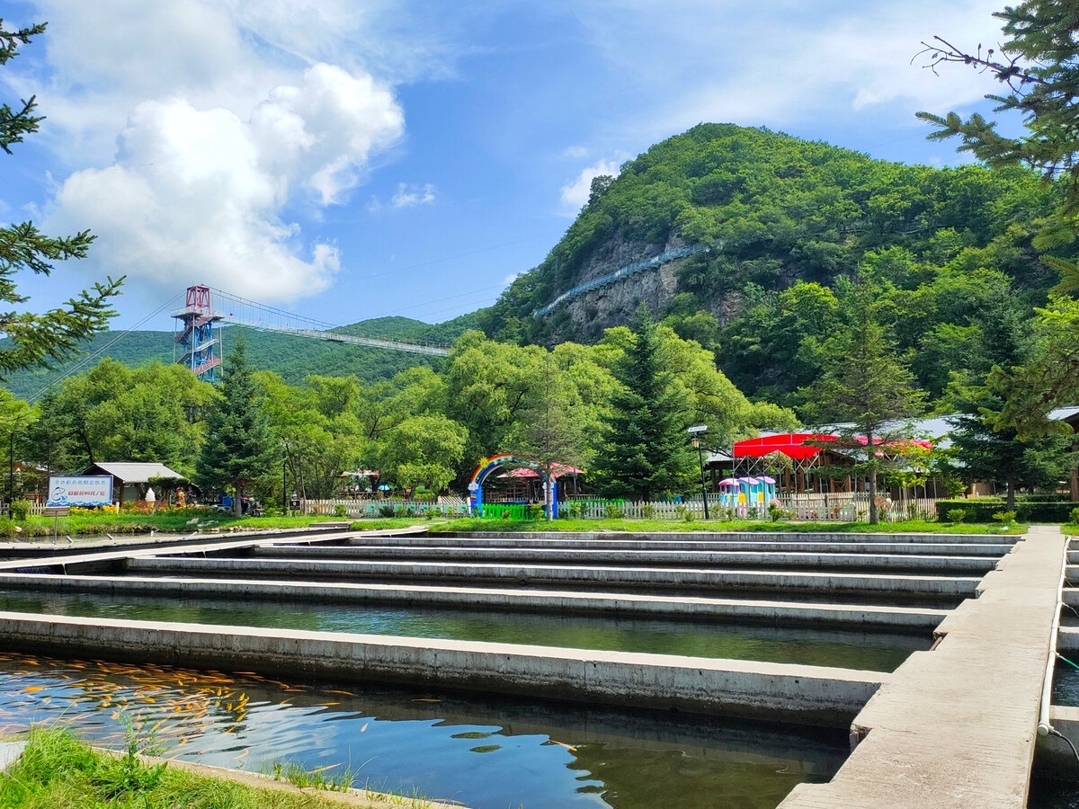 青龙渔业景区