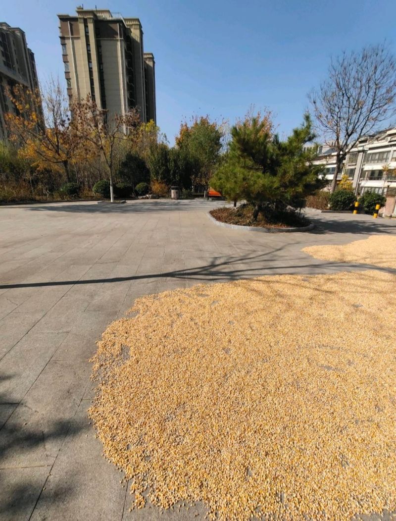 鼓楼峰山体公园旅行图片 2