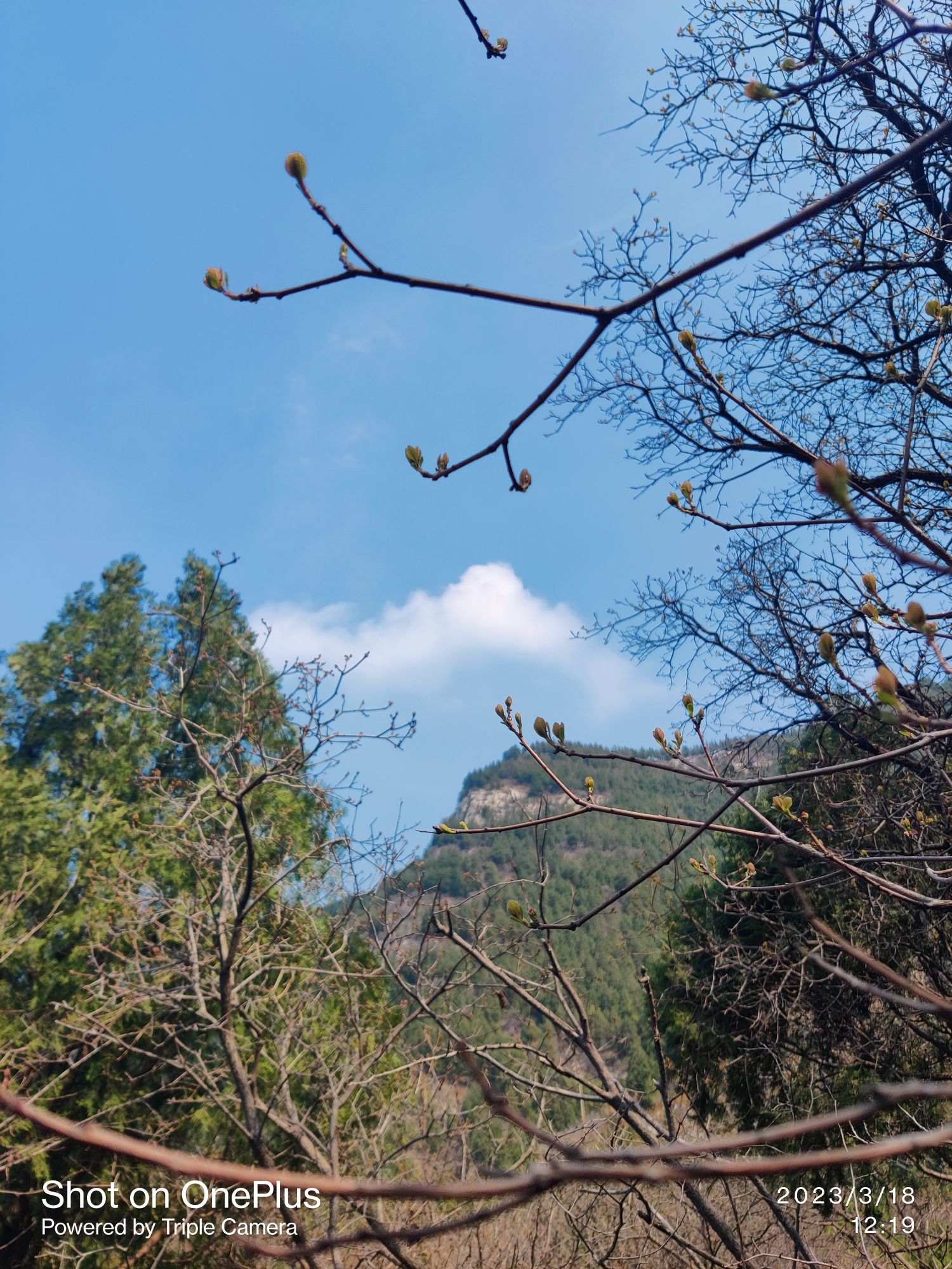 鼓楼峰山体公园旅行图片 3