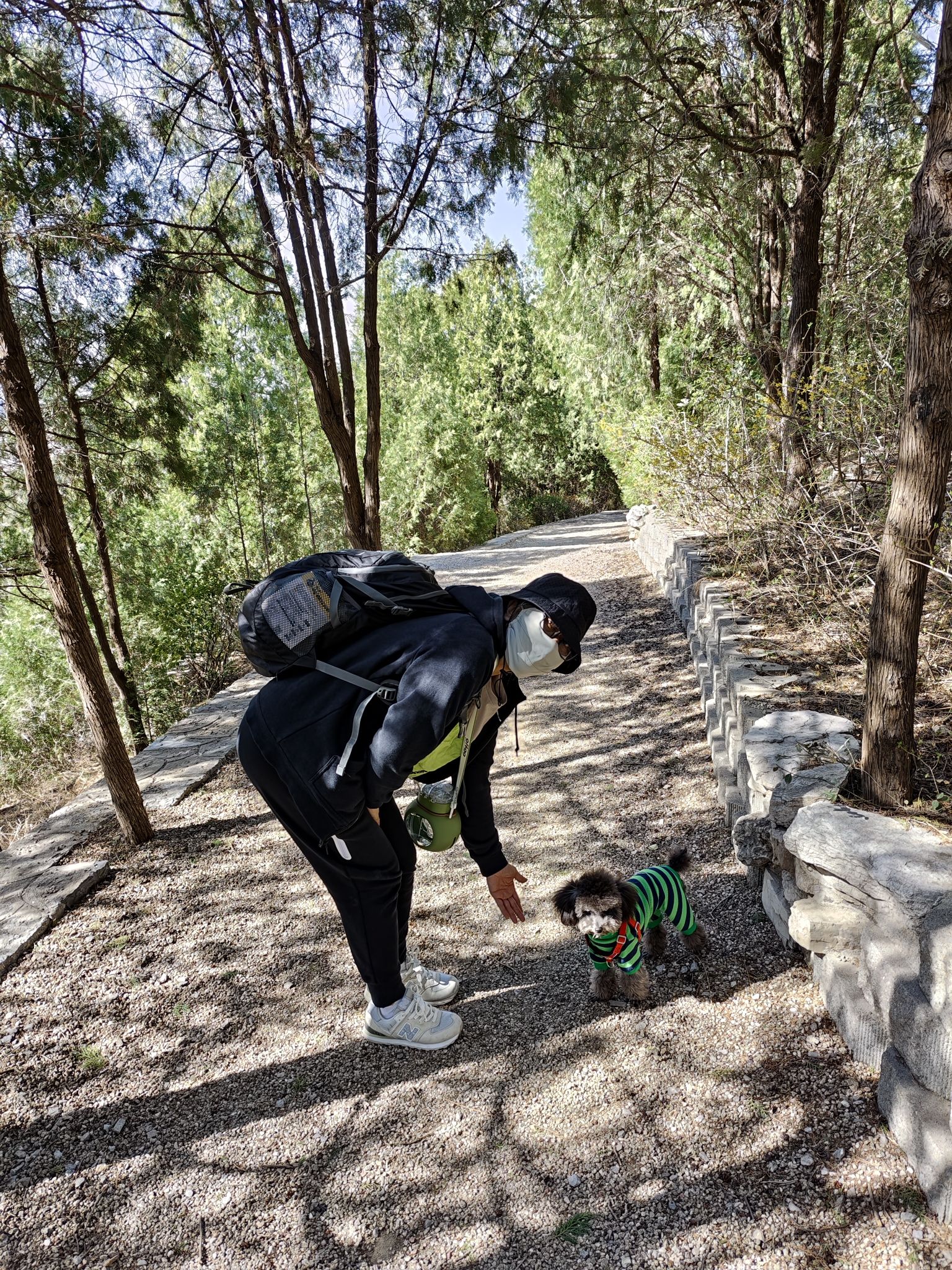 鼓楼峰山体公园旅行图片 1