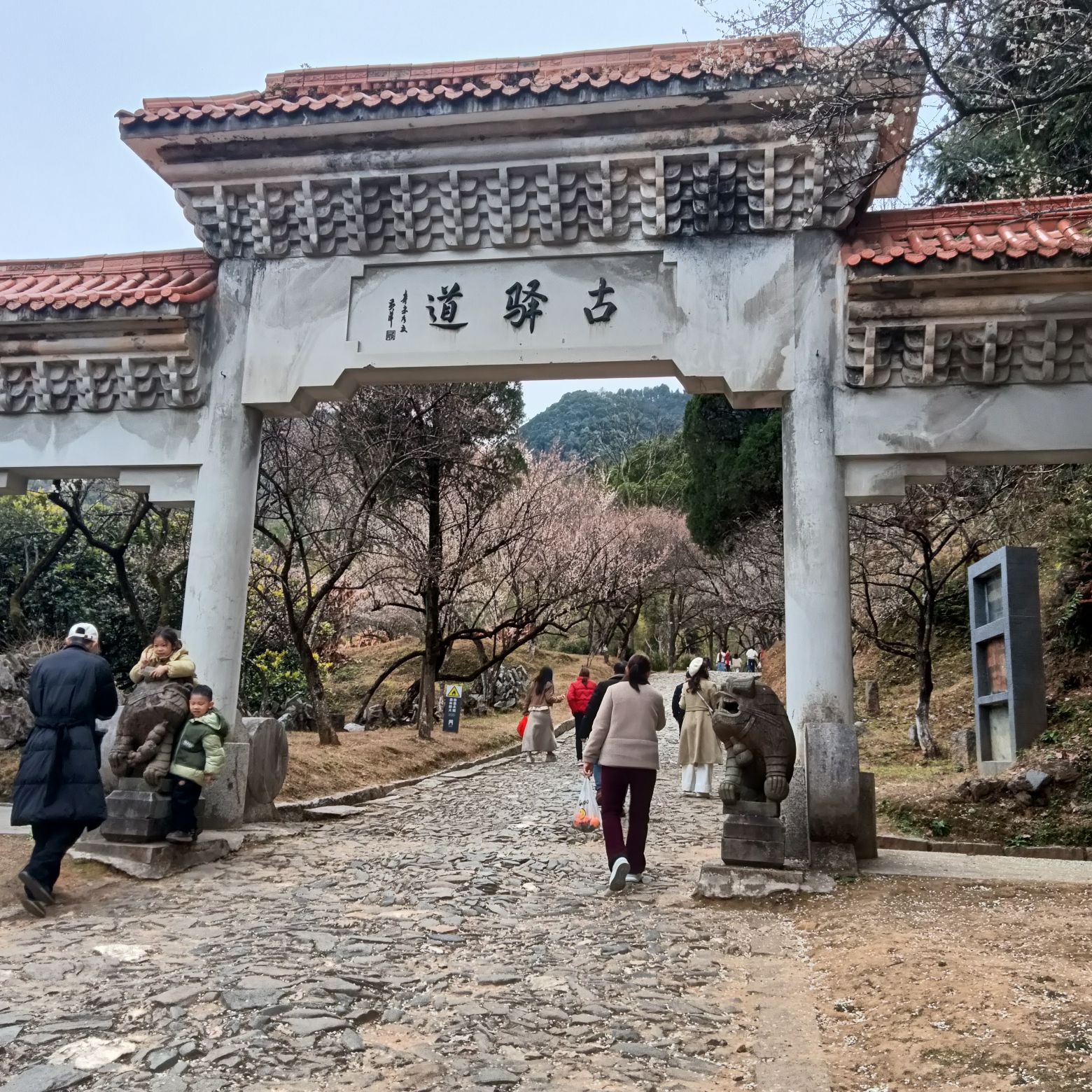 大余县梅关景区旅行图片 1