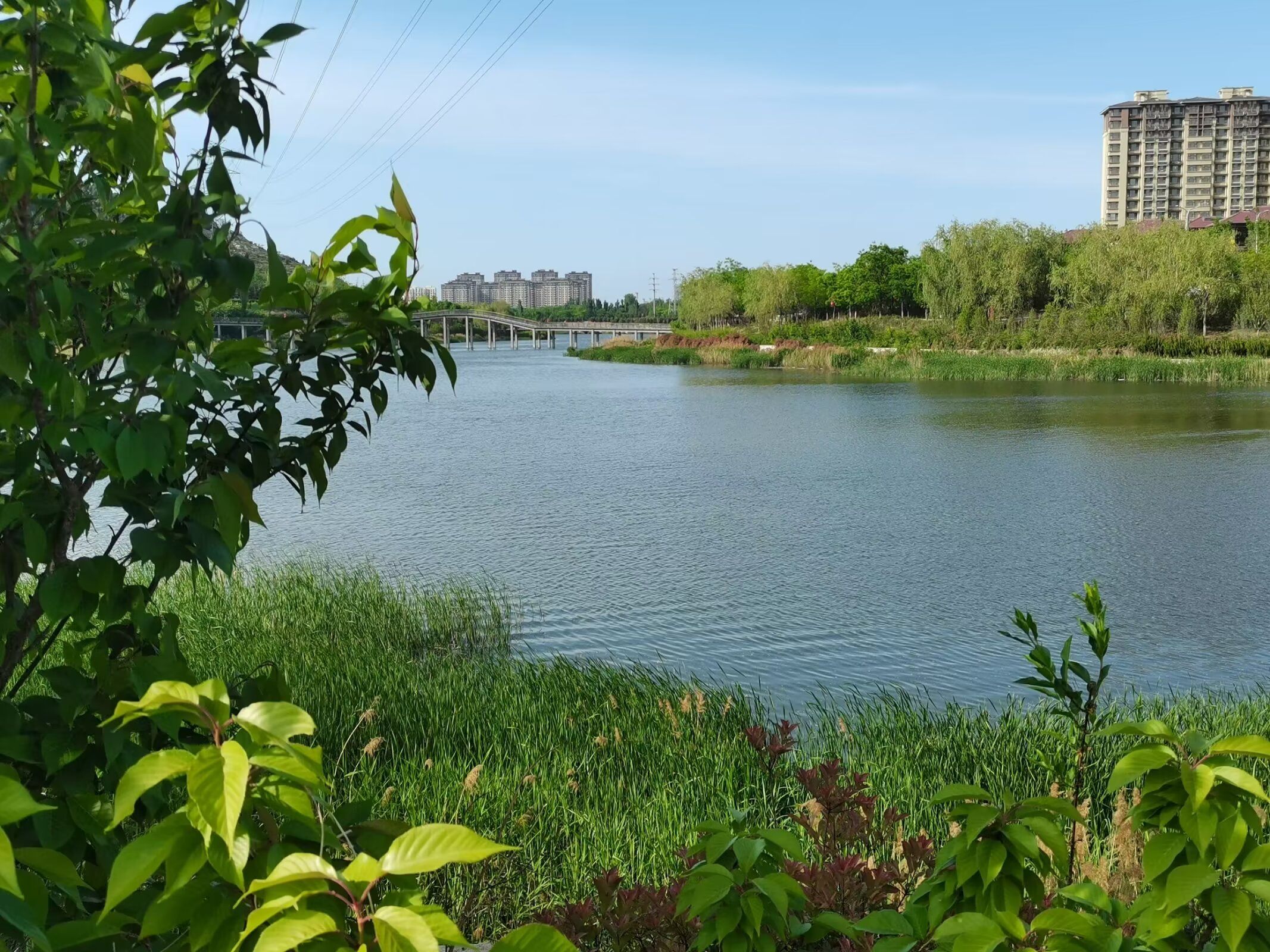 长清城市中央公园旅行图片 3