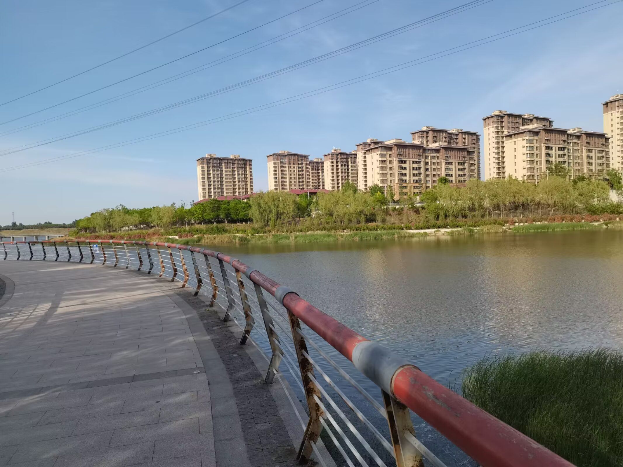 长清城市中央公园旅行图片 1
