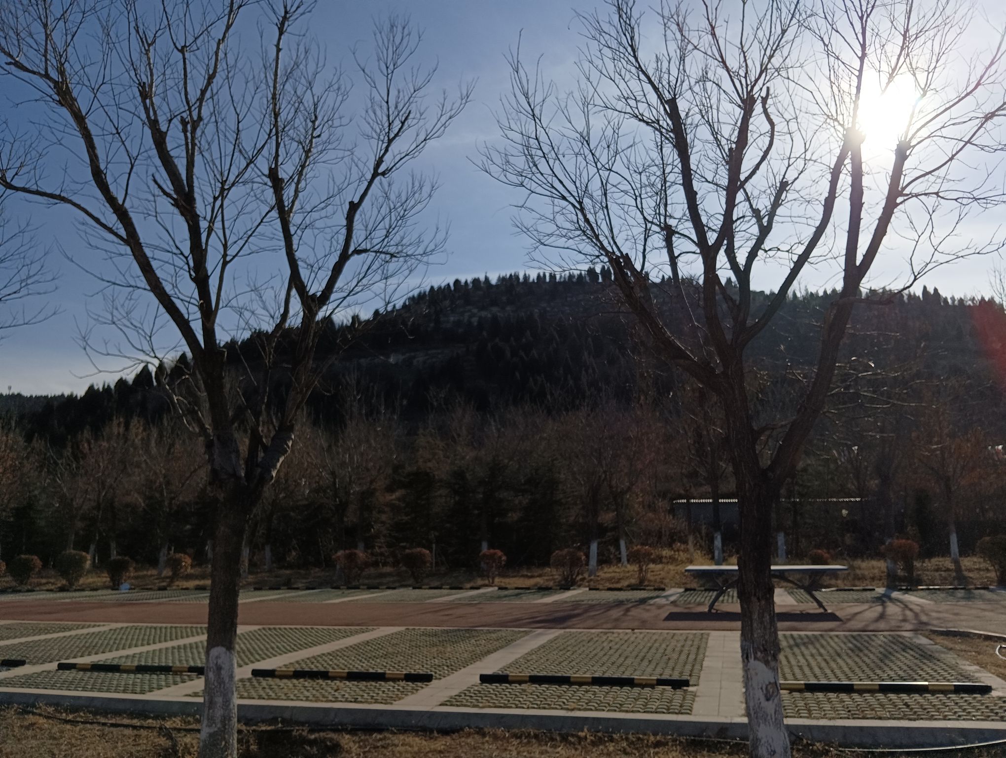 长清城市中央公园旅行图片 1