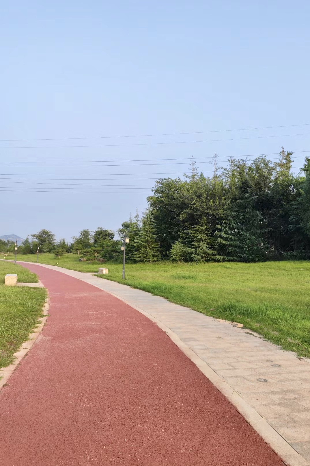 长清城市中央公园旅行图片 3