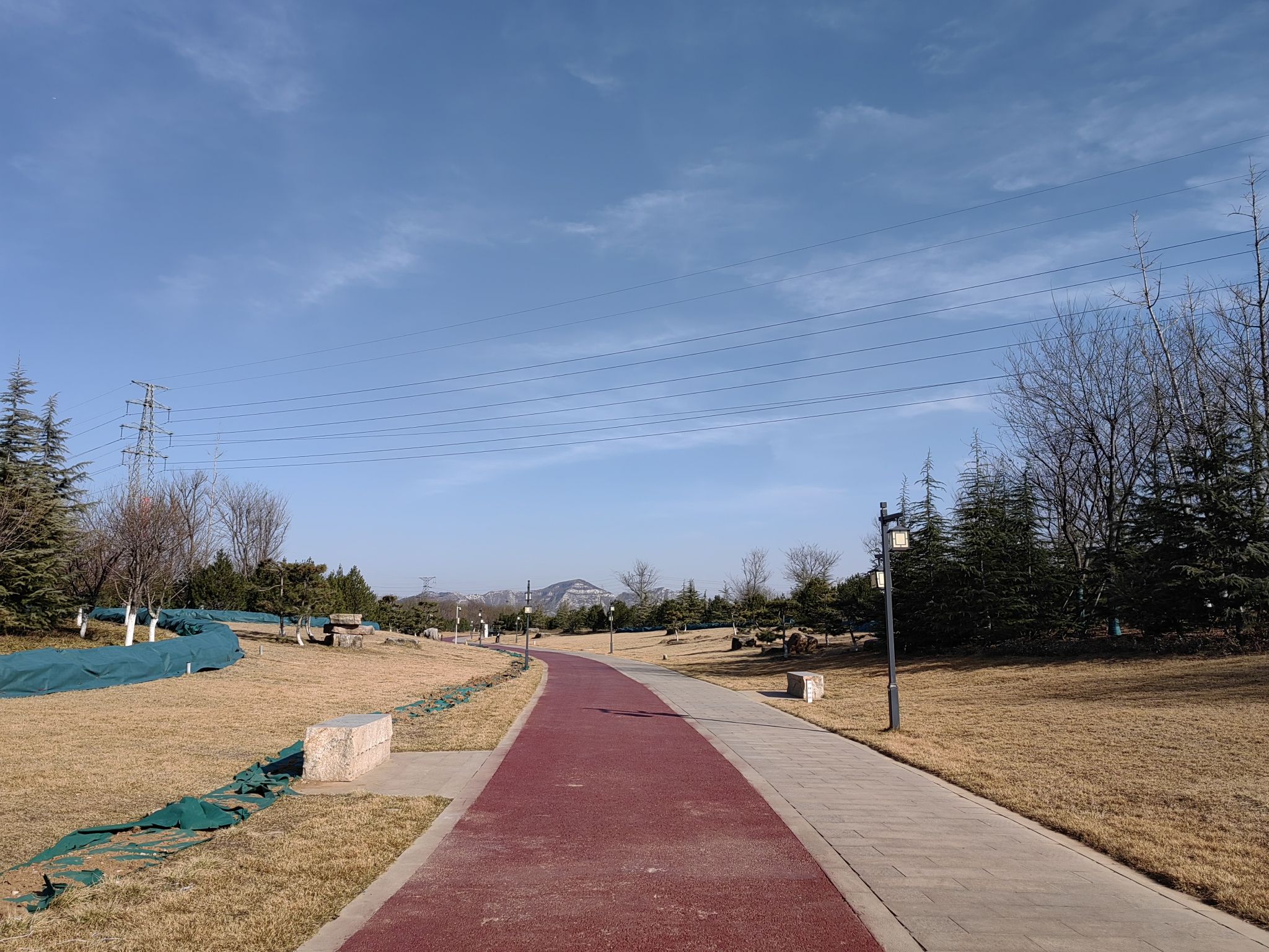 长清城市中央公园旅行图片 2