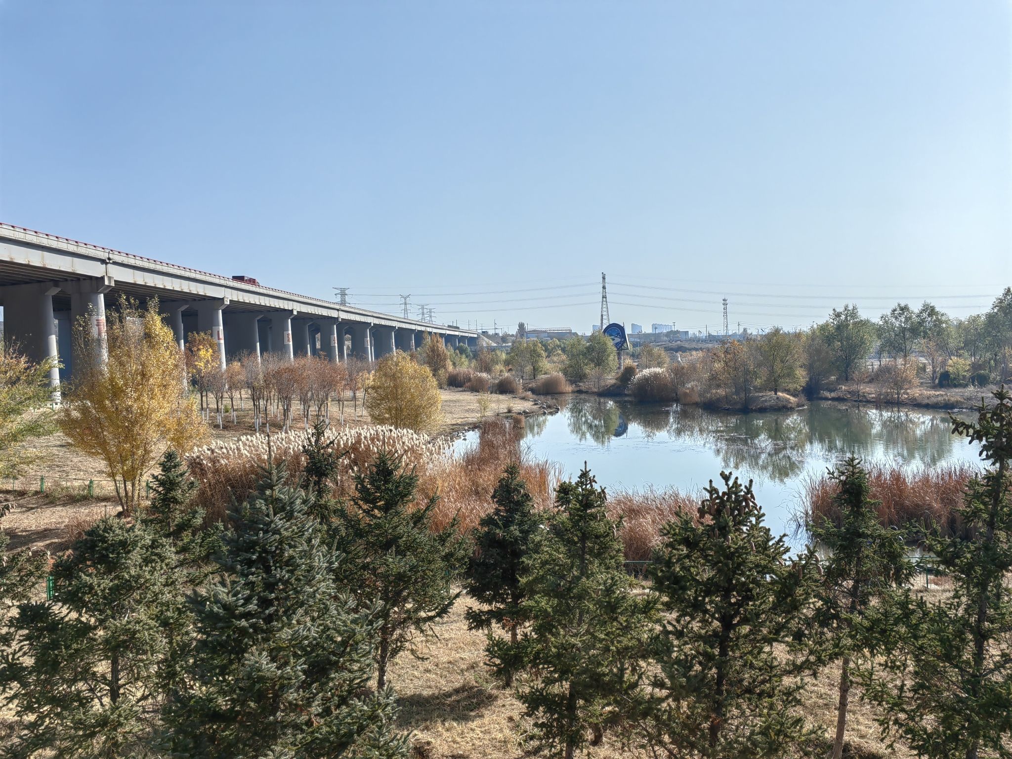 包头昆都仑河国家湿地公园旅行图片 2