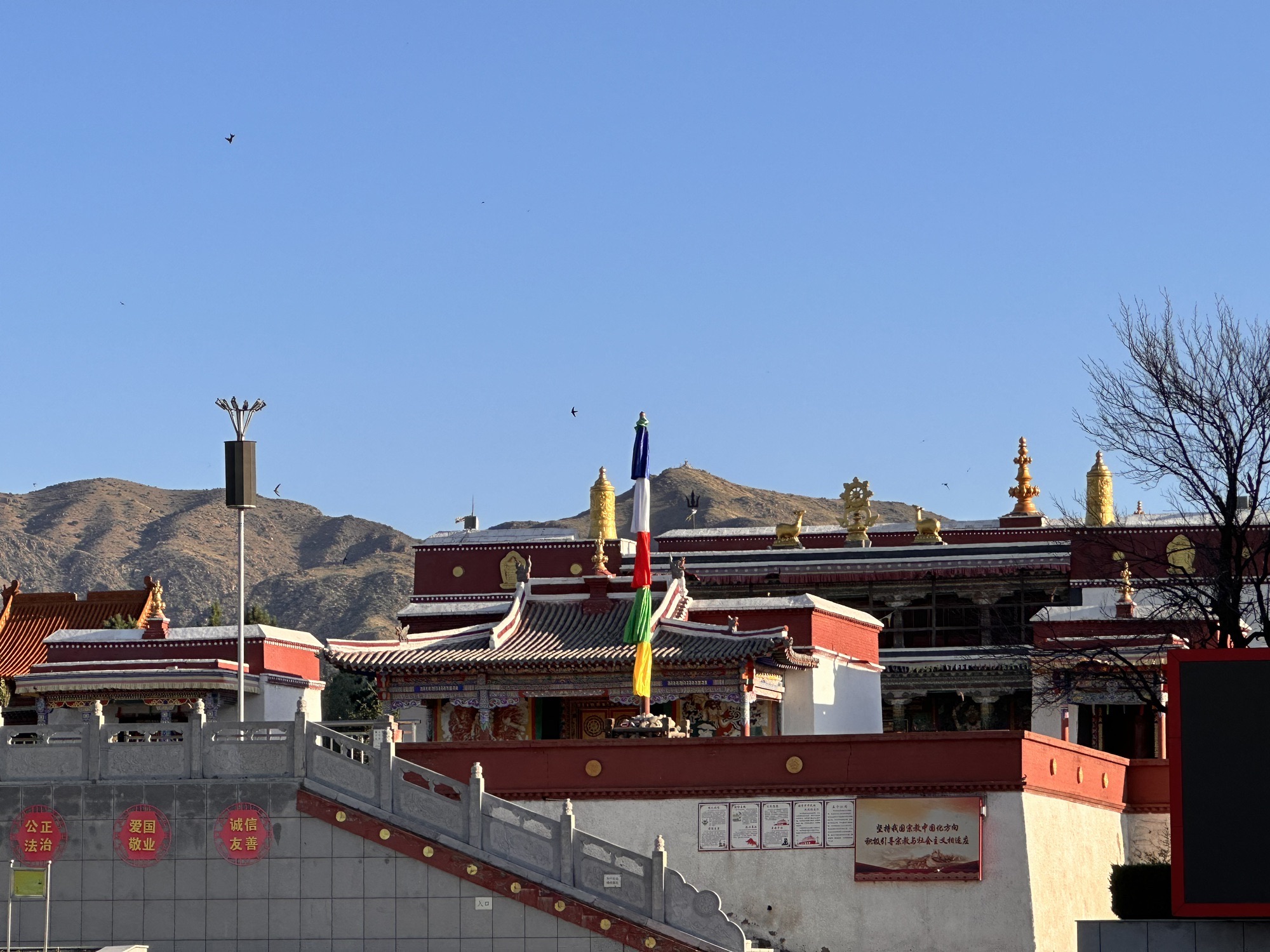 包头昆都仑河国家湿地公园旅行图片 1