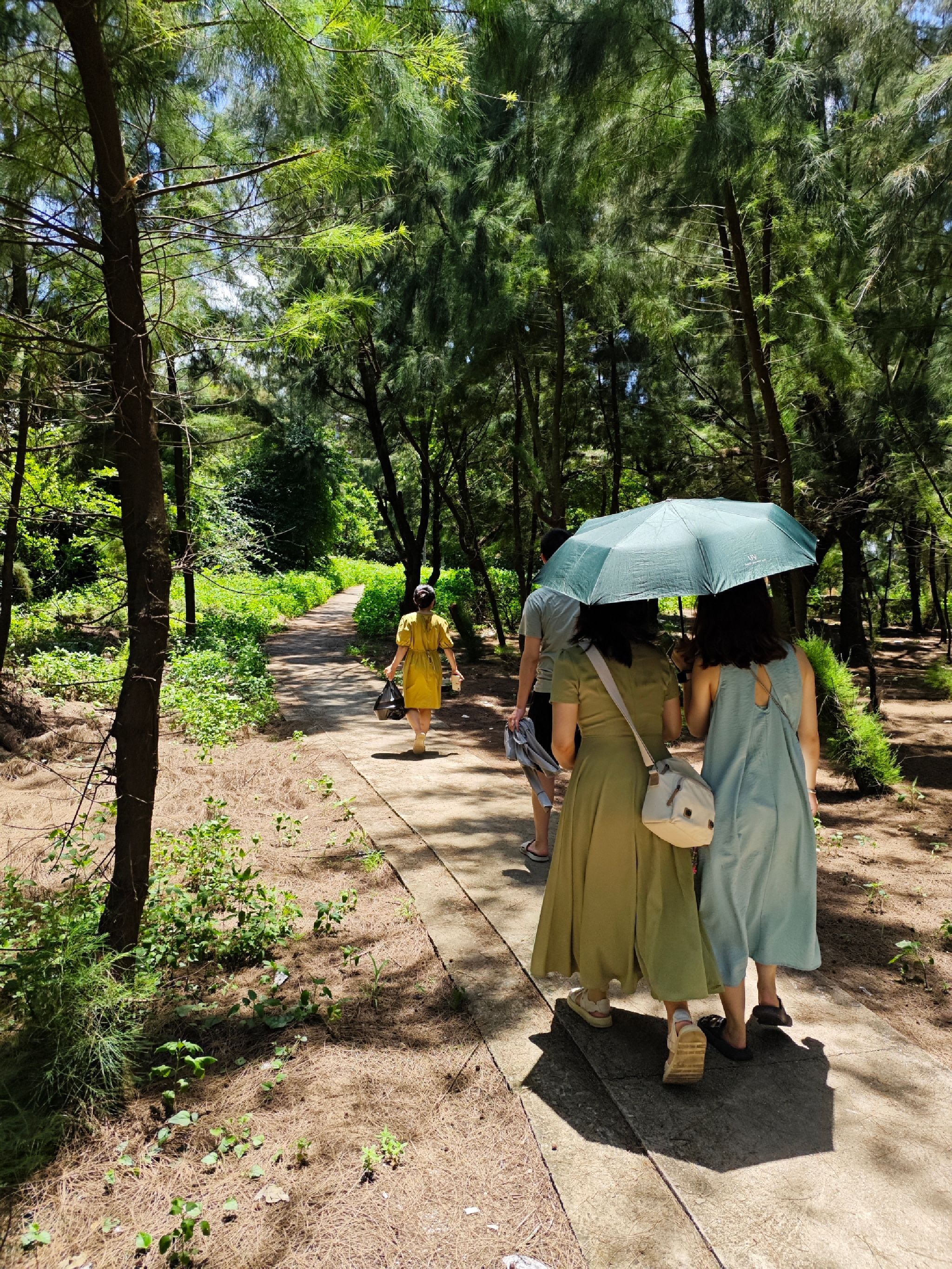 后江沙滩旅行图片 2