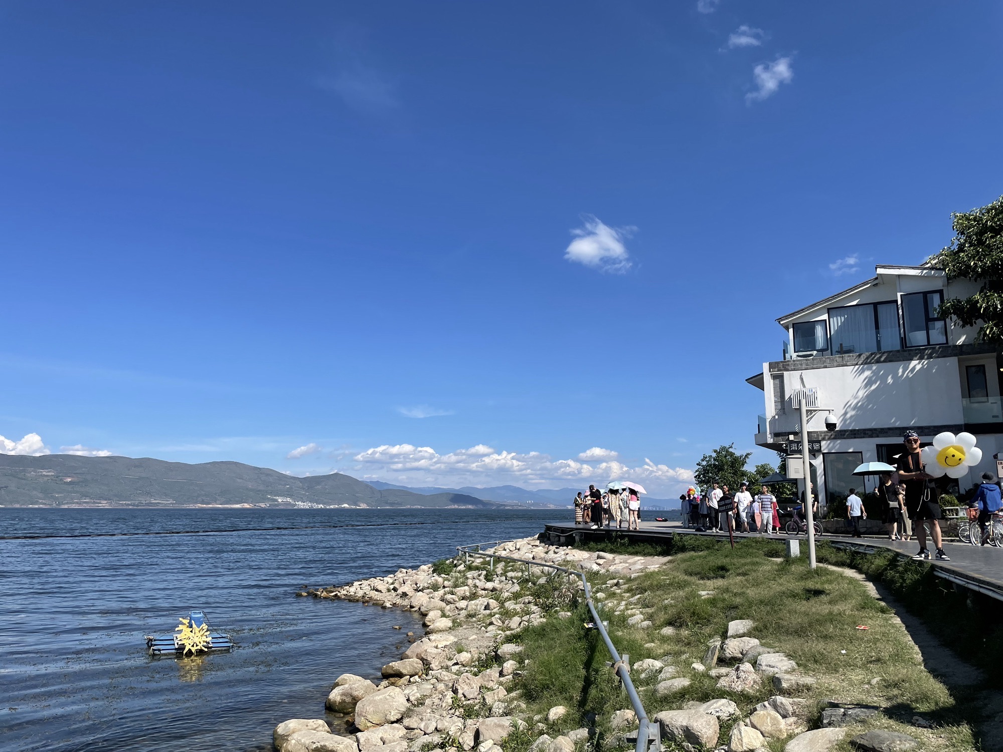 城西港区湿地公园旅行图片 3
