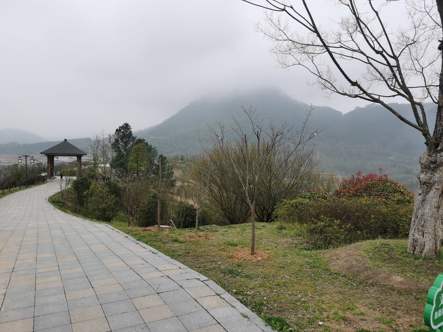 灵芝公园旅行图片 2