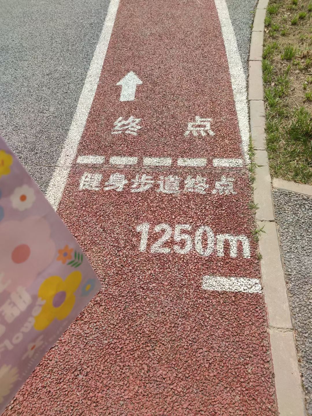 朝阳区平房公园旅行图片 3