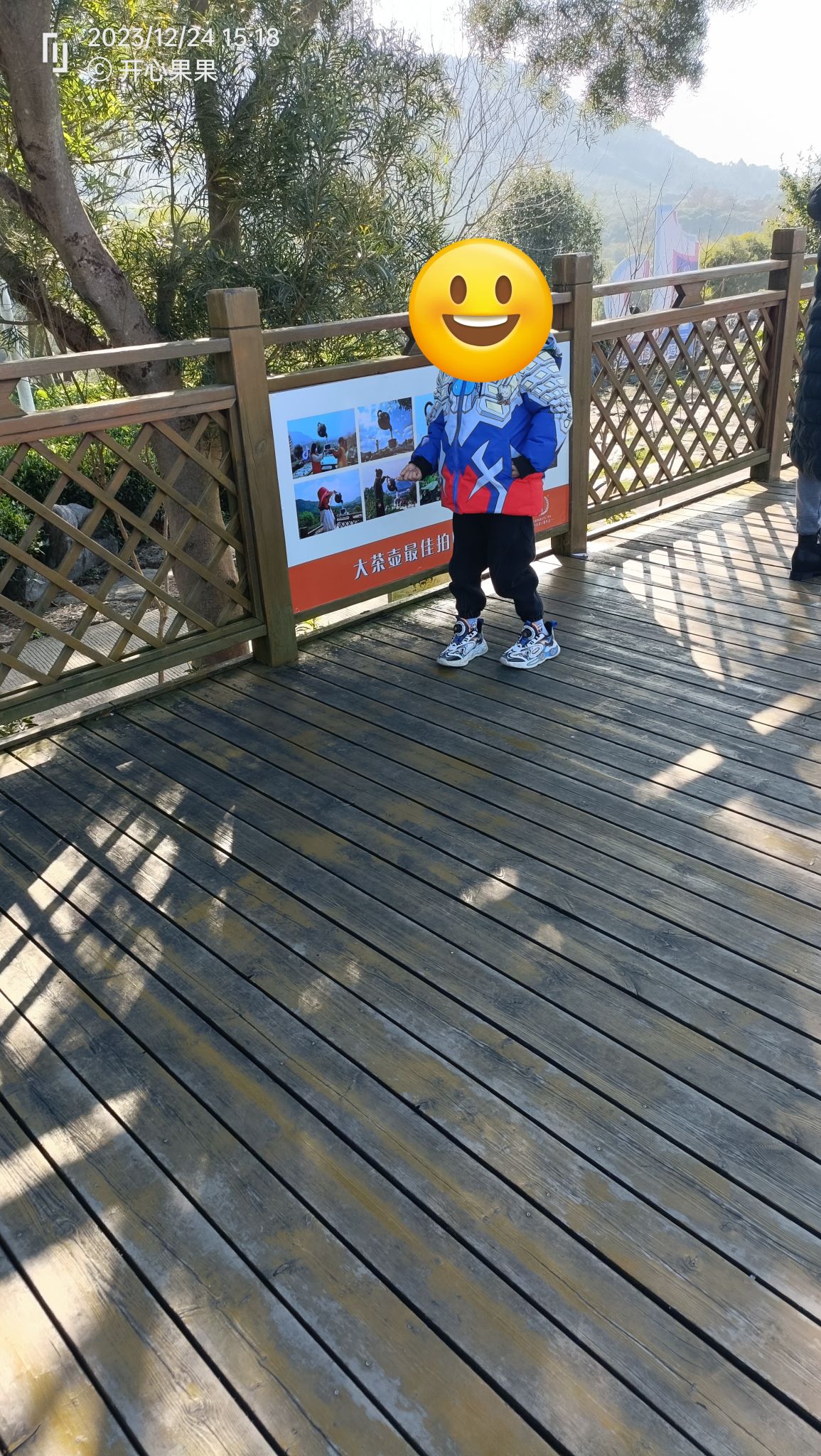 茶趣园景区旅行图片 1