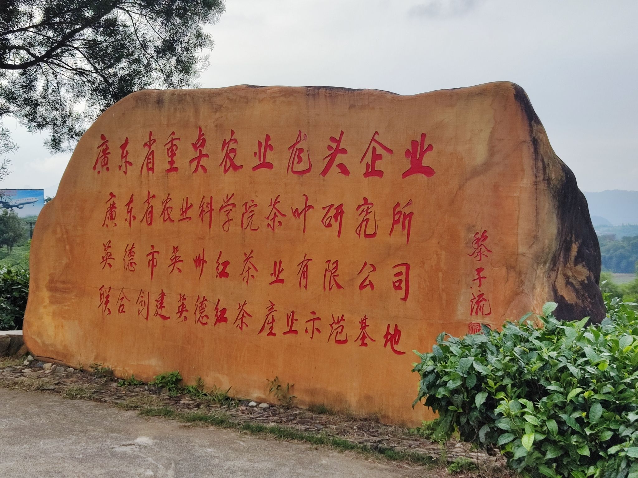 茶趣园景区旅行图片 3