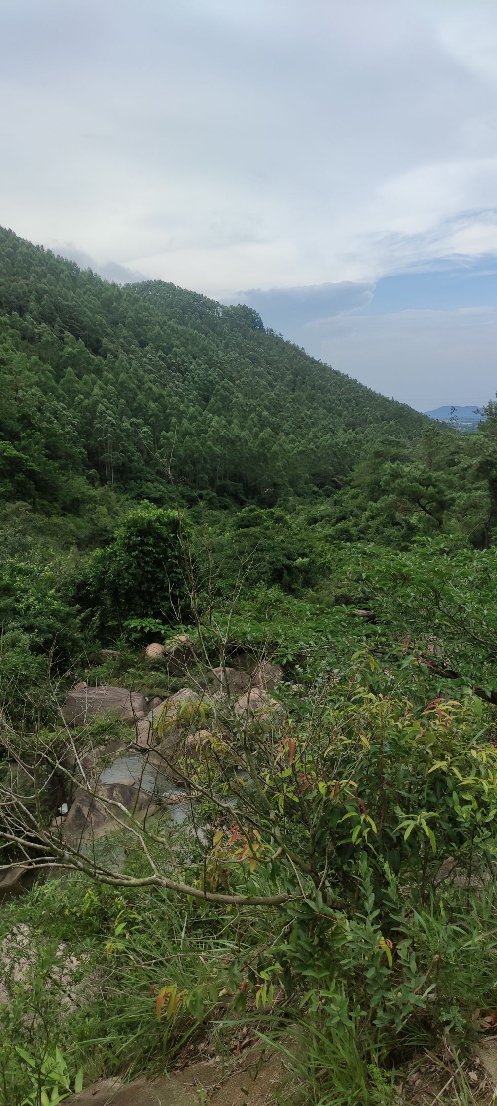 黄杨八景牌坊旅行图片 1