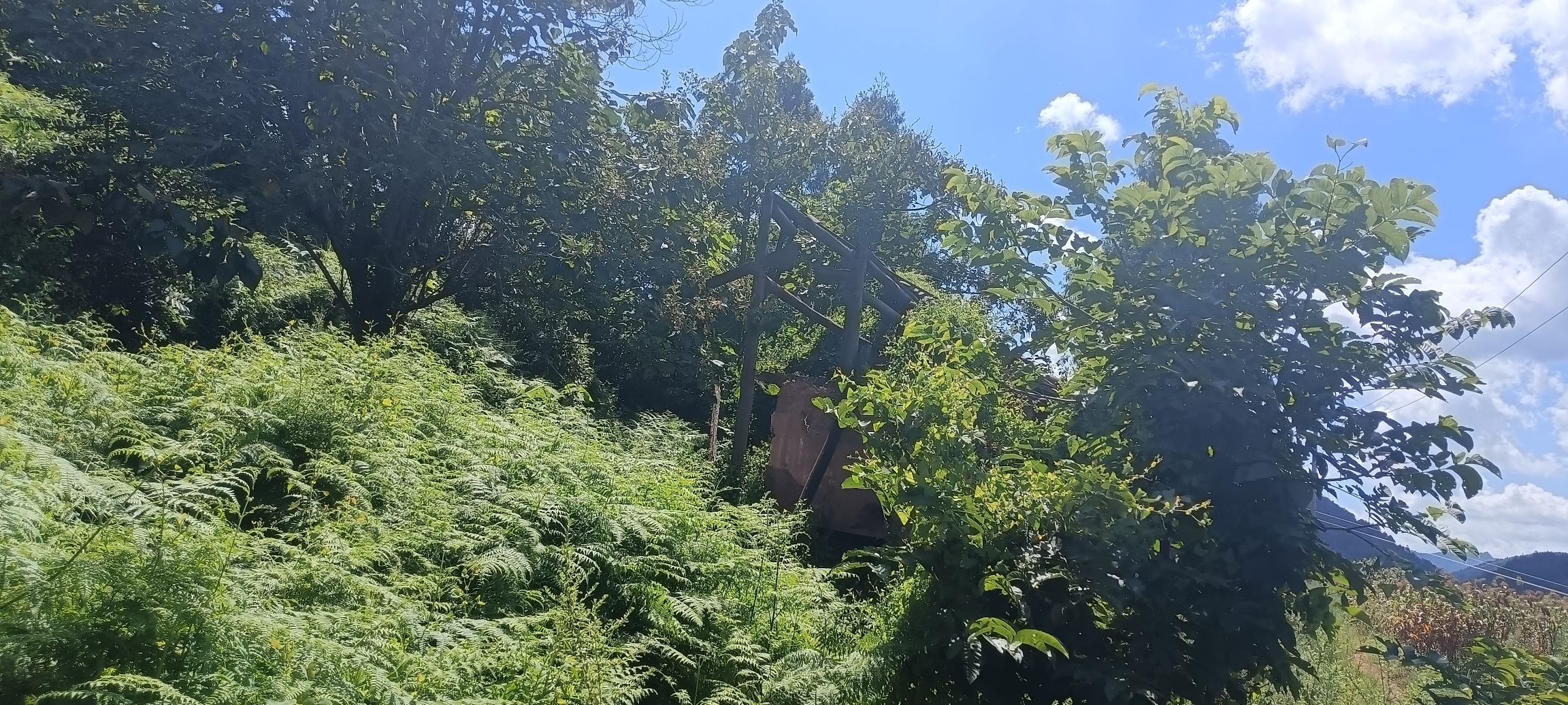 大村文化广场旅行图片 1