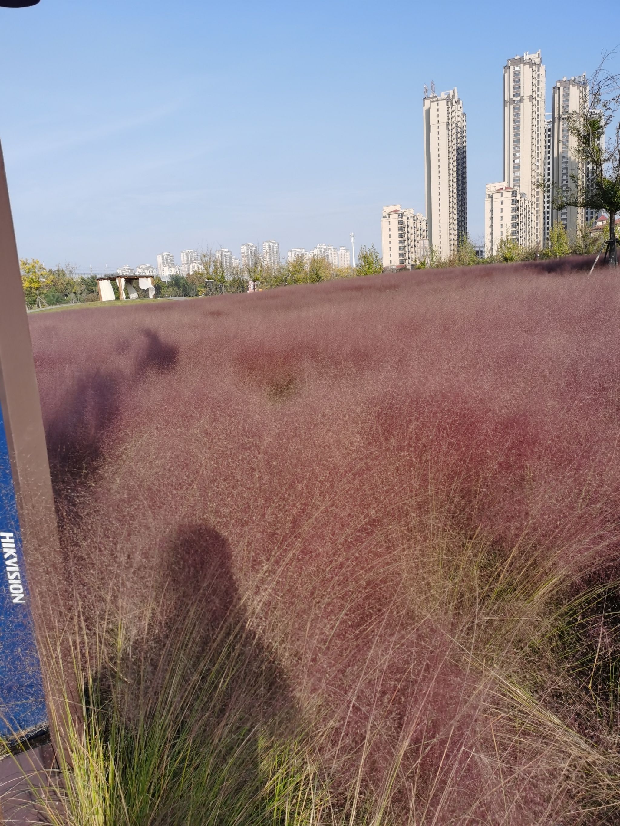 隅园旅行图片 3