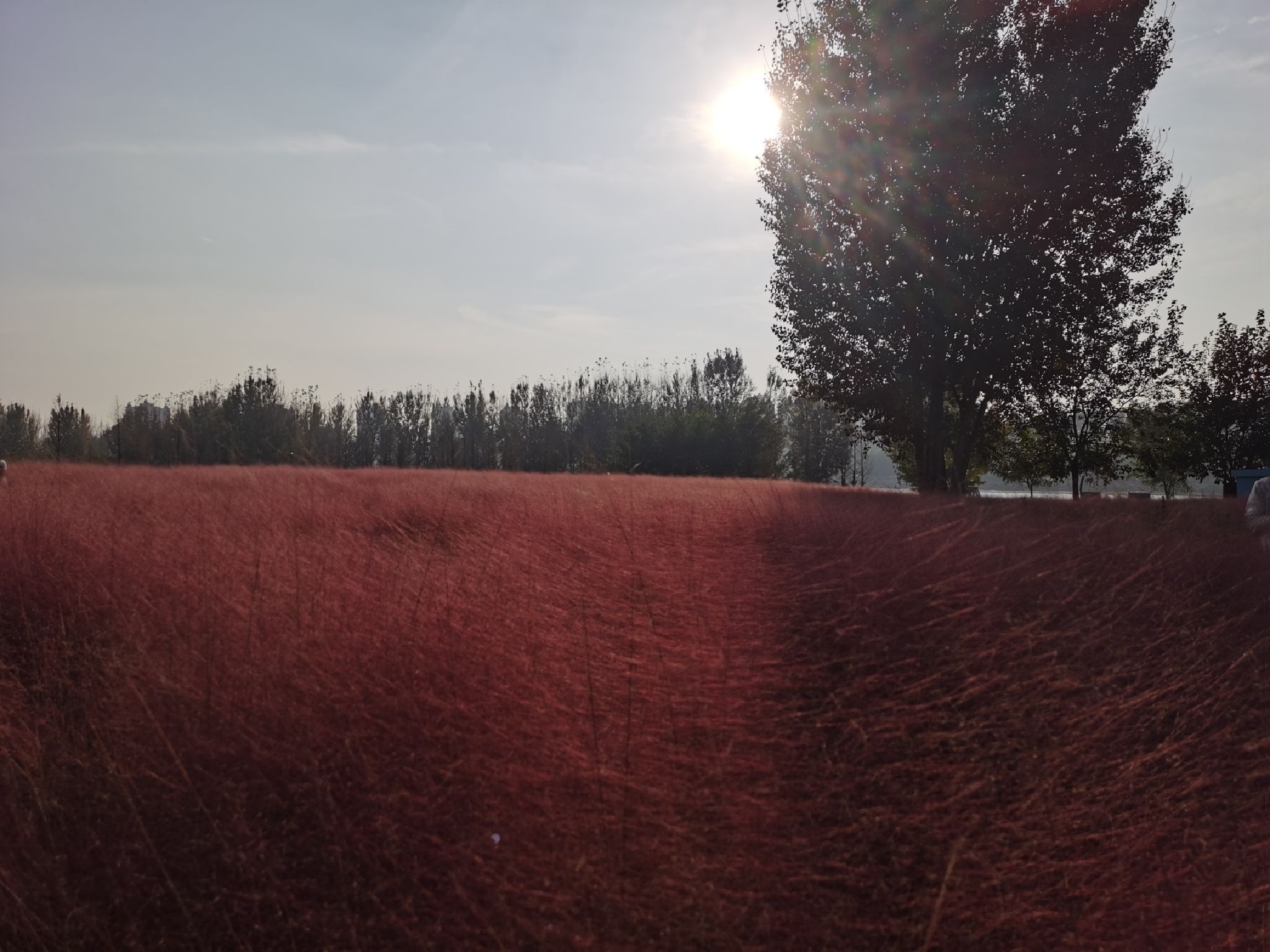 隅园旅行图片 1