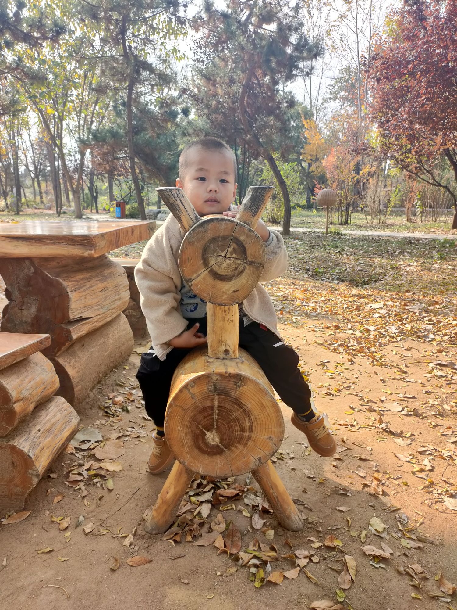 隅园旅行图片 2